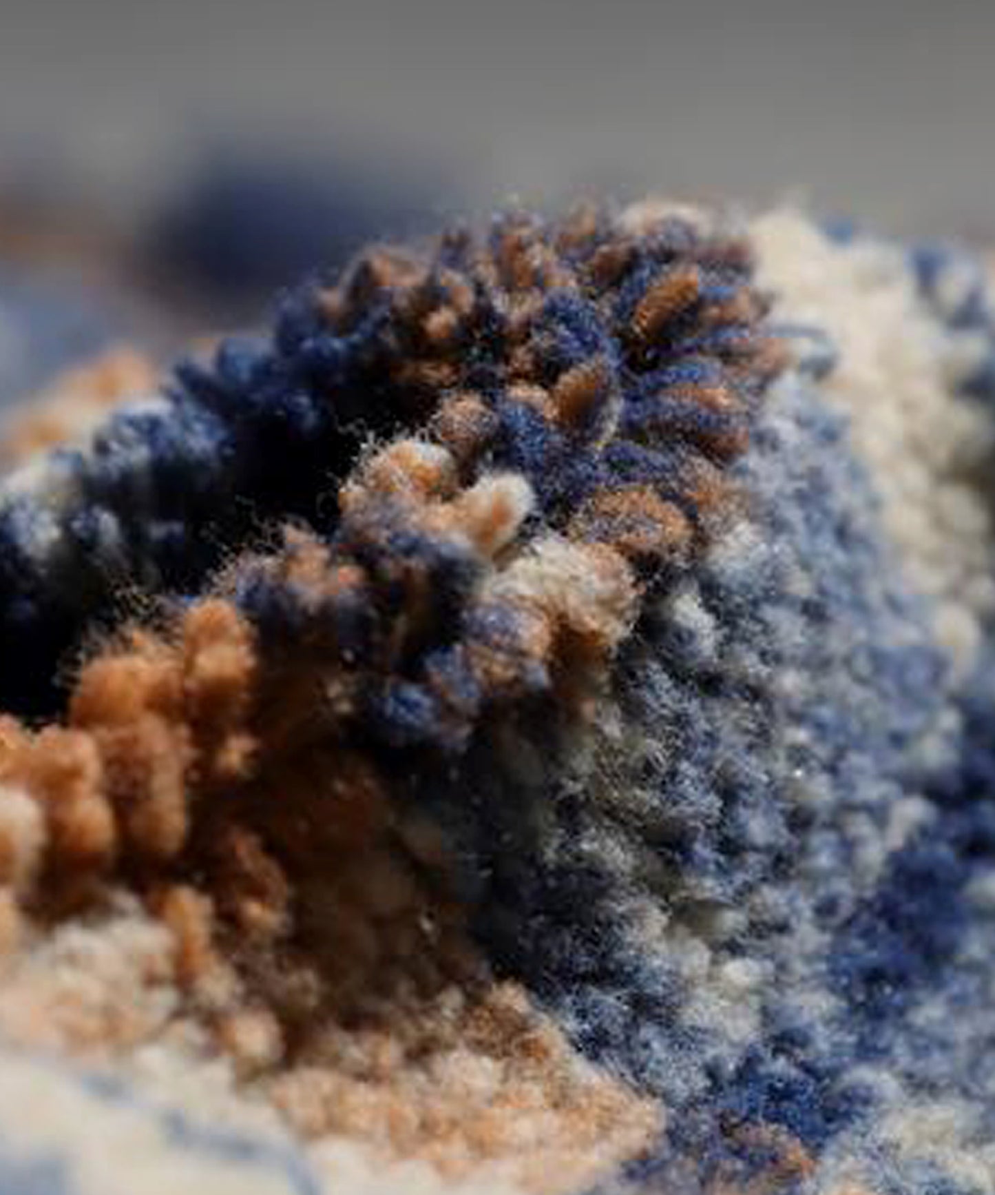 Check Boa Jacket Ladies