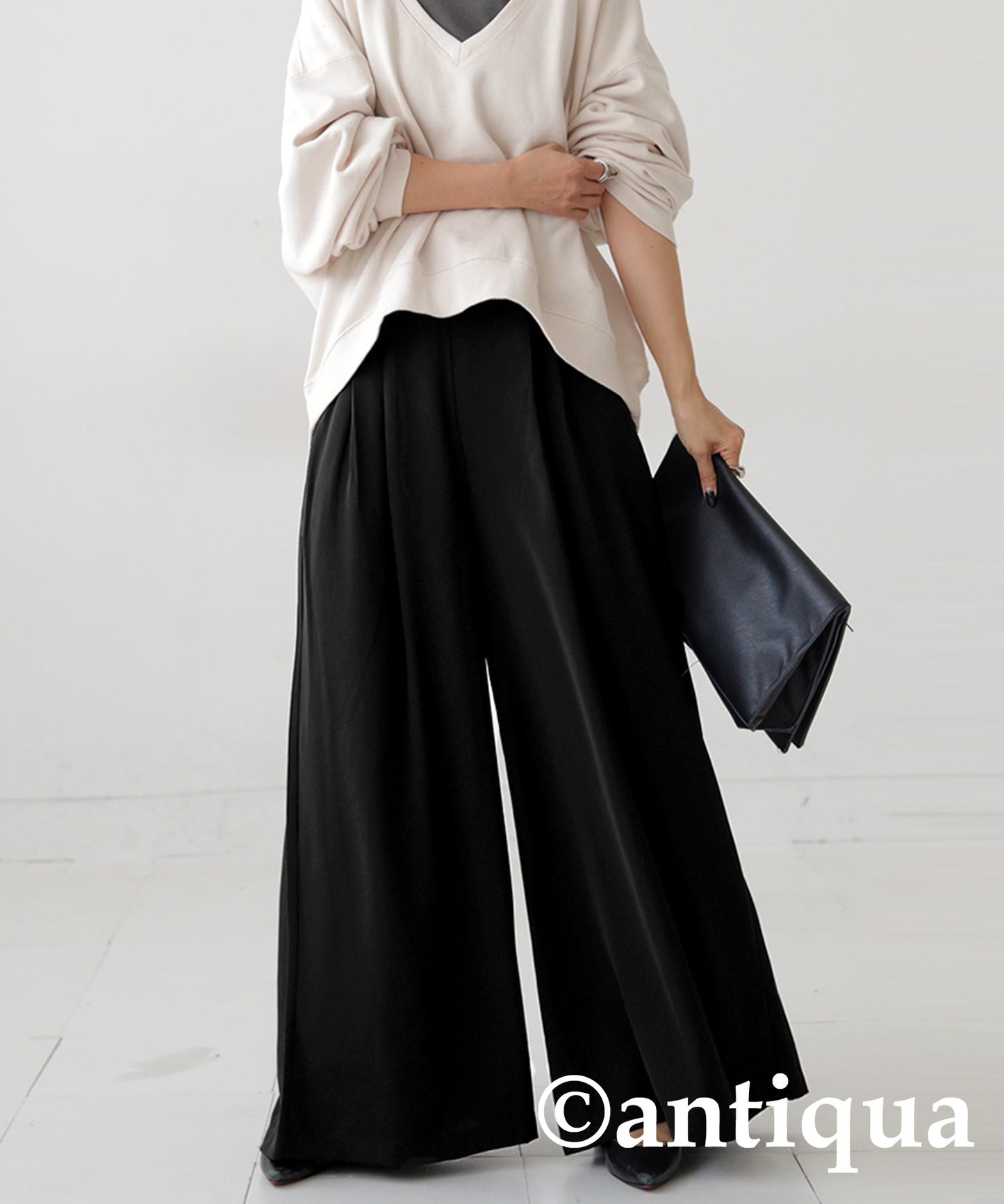 Tuck Wide Pants Ladies