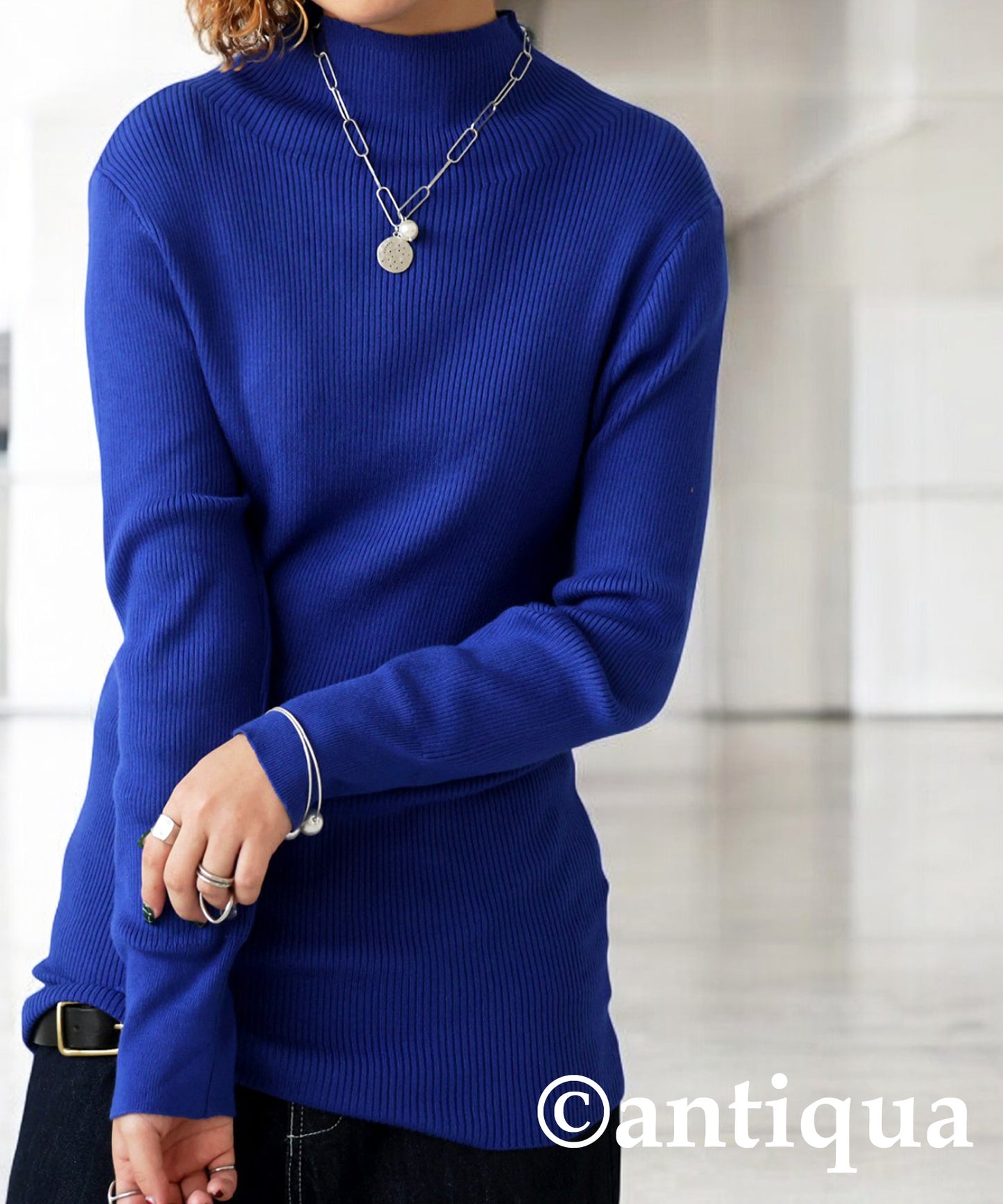 Single Color High Neck Heat Rib Innerwear Ladies