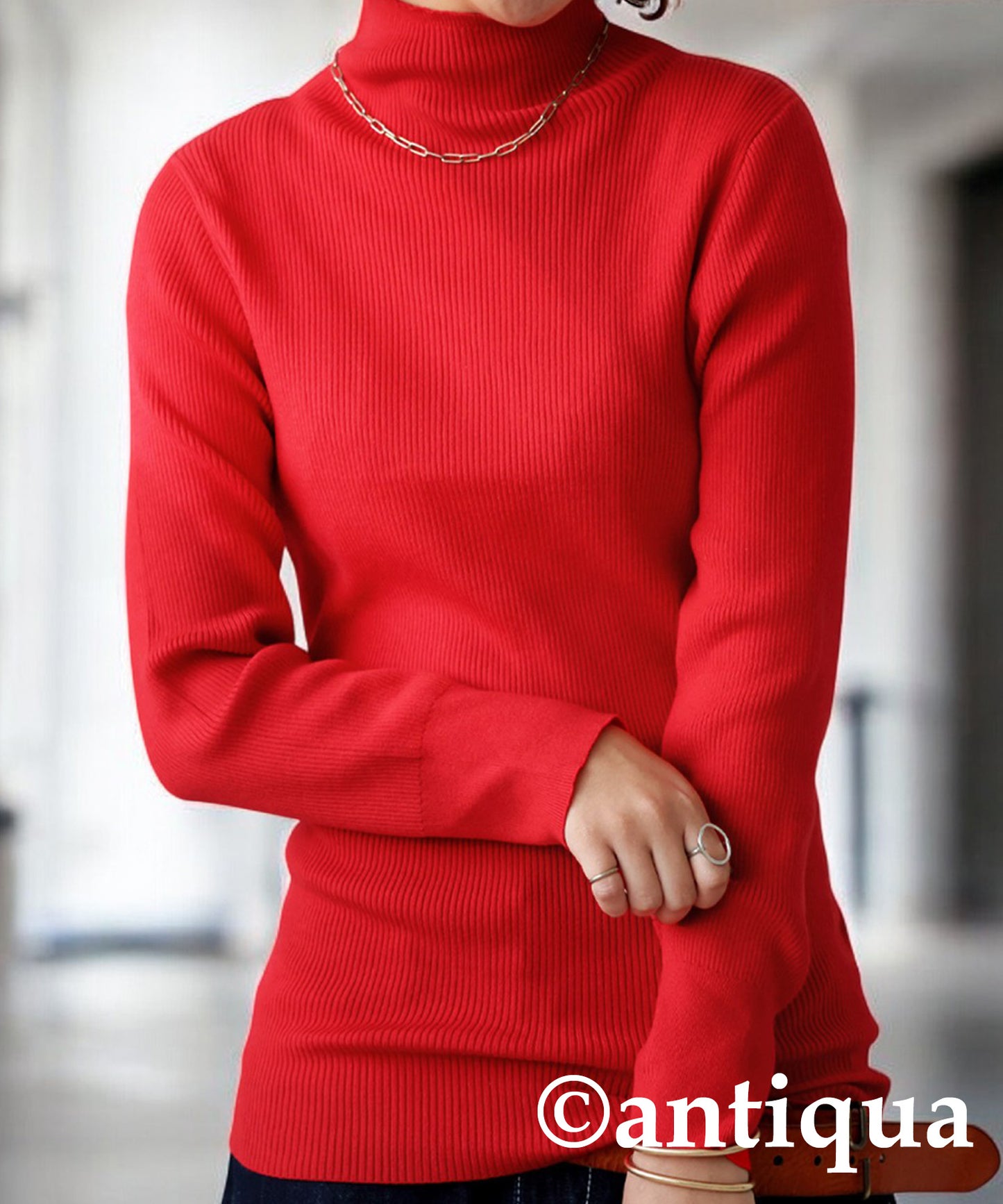 Single Color High Neck Heat Rib Innerwear Ladies