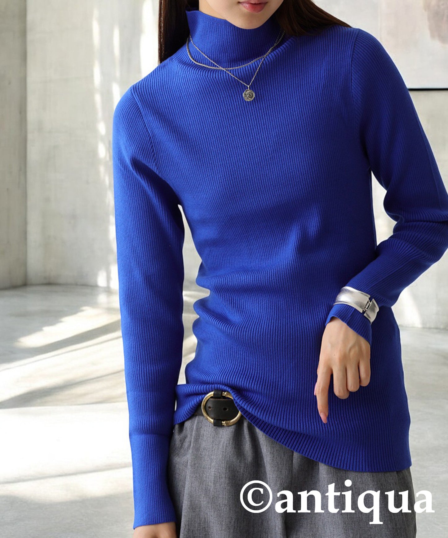 Single Color High Neck Heat Rib Innerwear Ladies