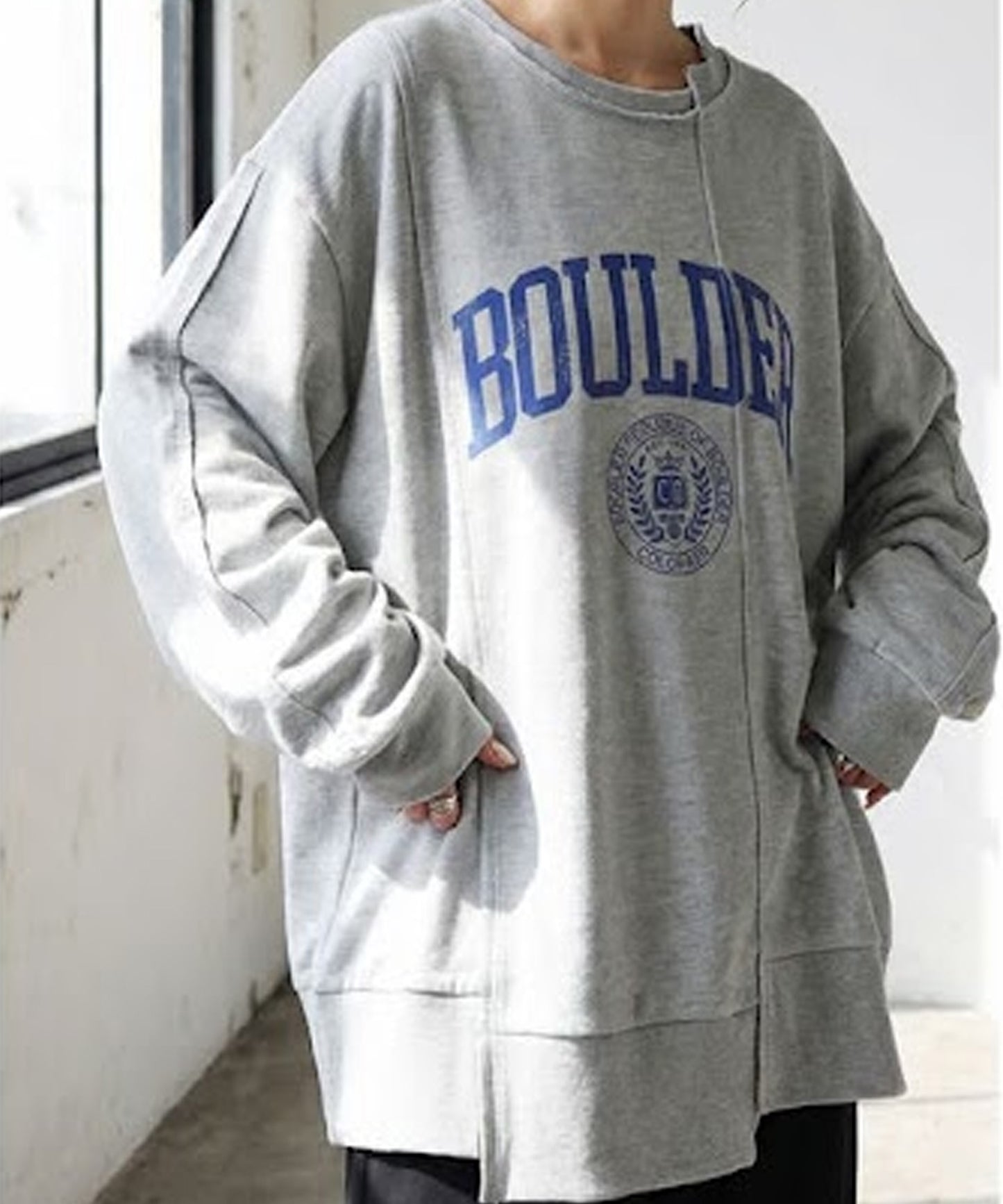 Remake-Style Sweatshirt Ladies