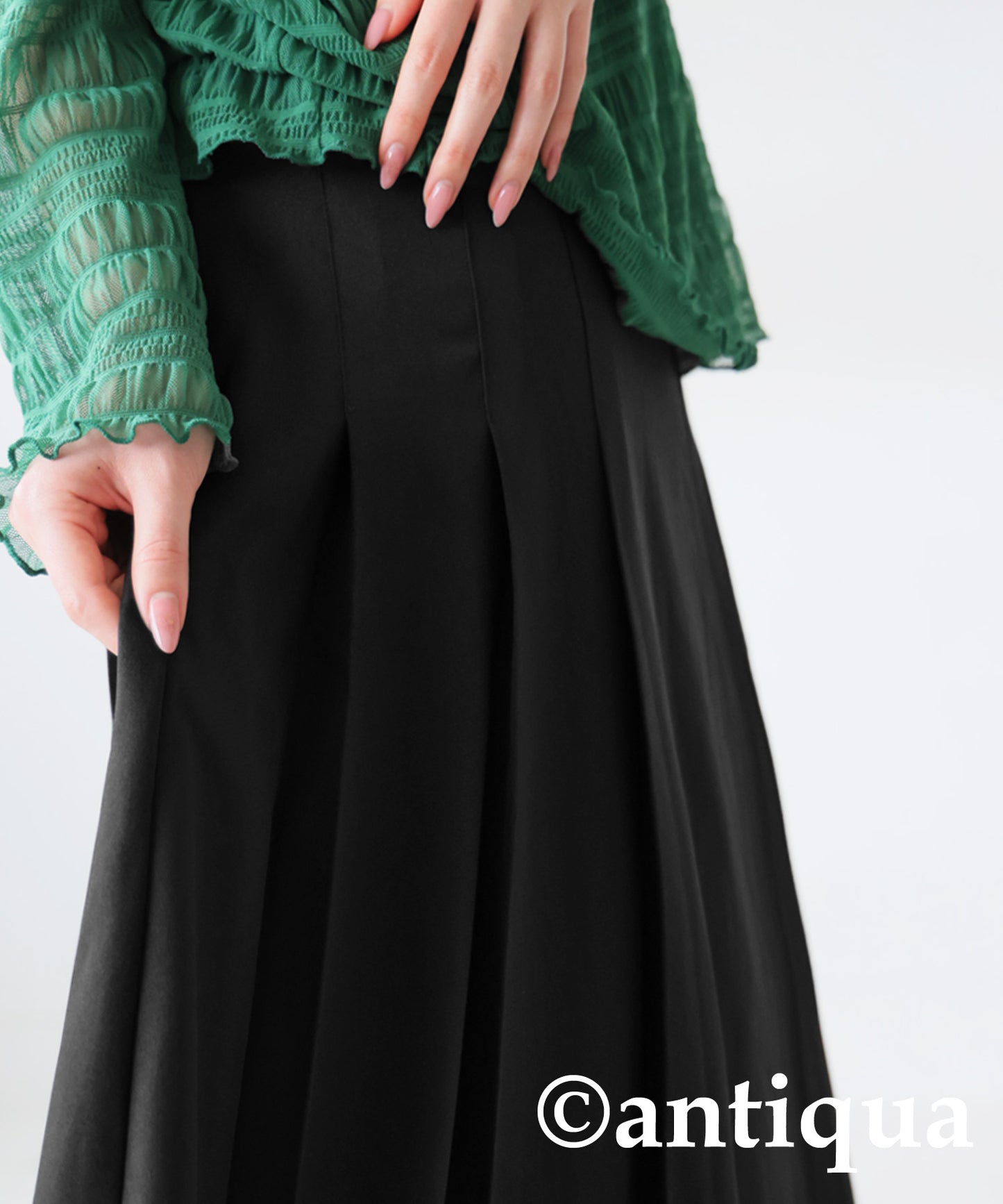 Flare Pleated Skirt Ladies