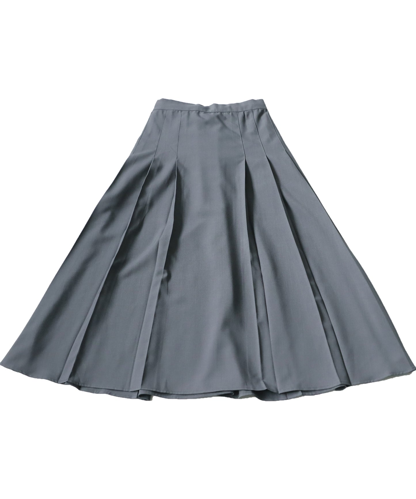 Flare Pleated Skirt Ladies