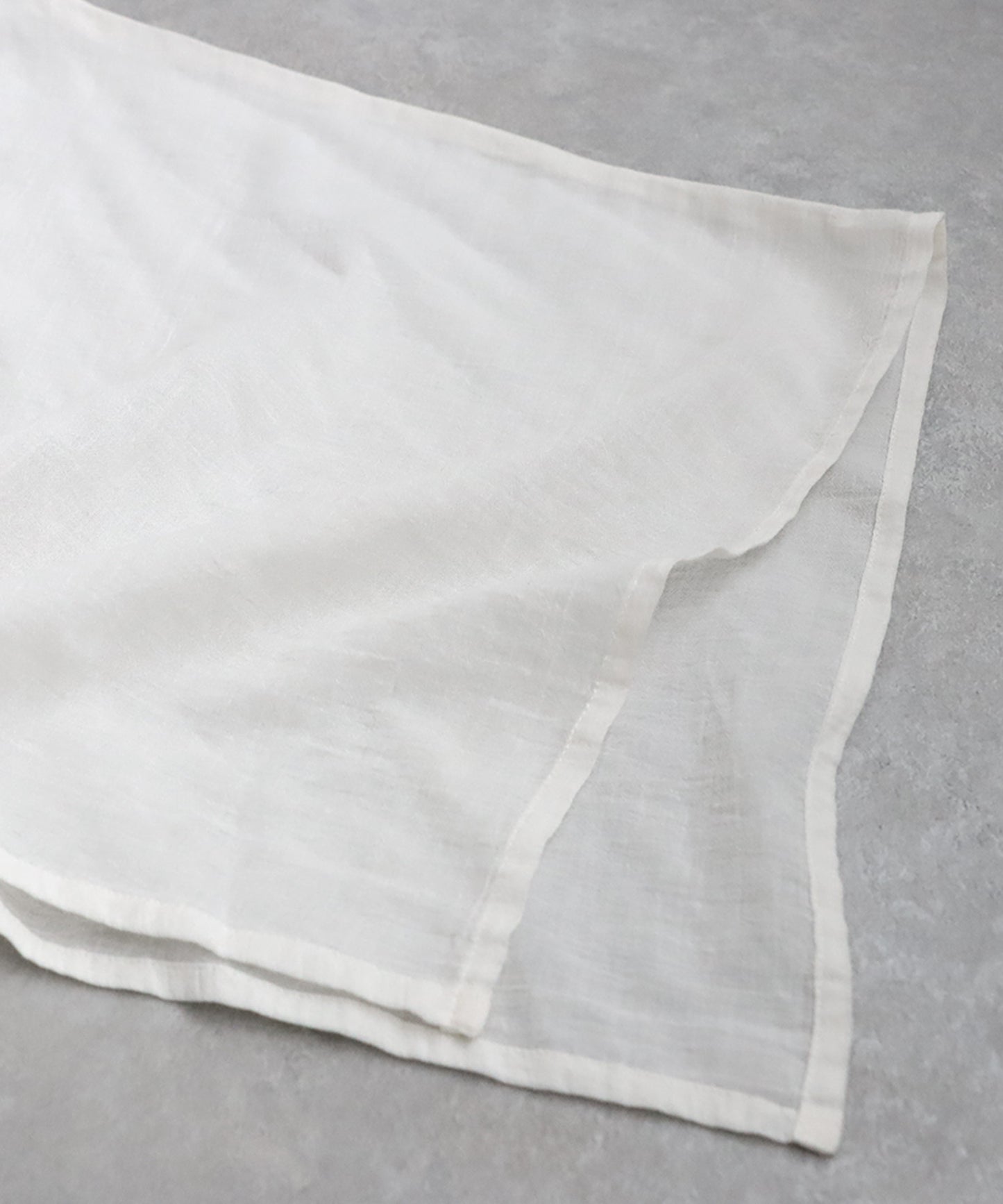 Ladies Sheer Smocking Blouse