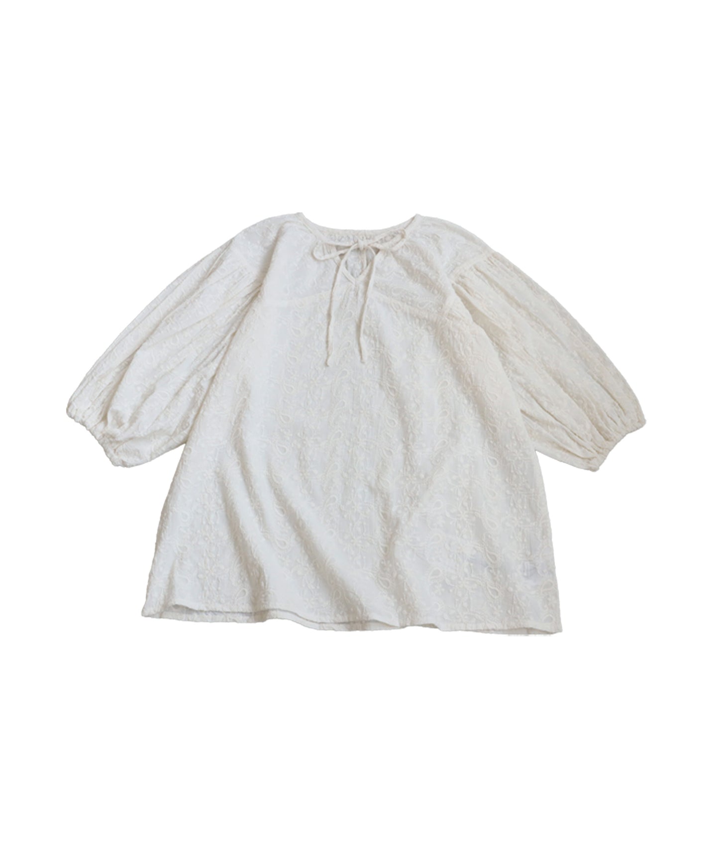 Ladies Fully Embroidered Blouse