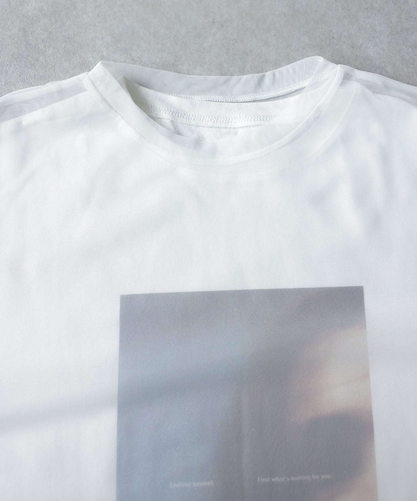 OWNth Sheer Photo Print Tulle T-Shirt Ladies