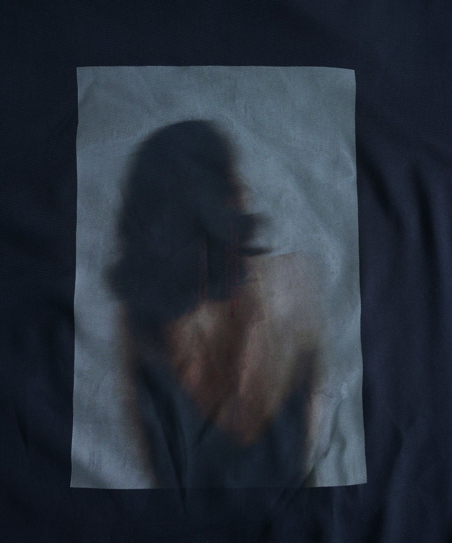 OWNth Sheer Photo Print Tulle T-Shirt Ladies