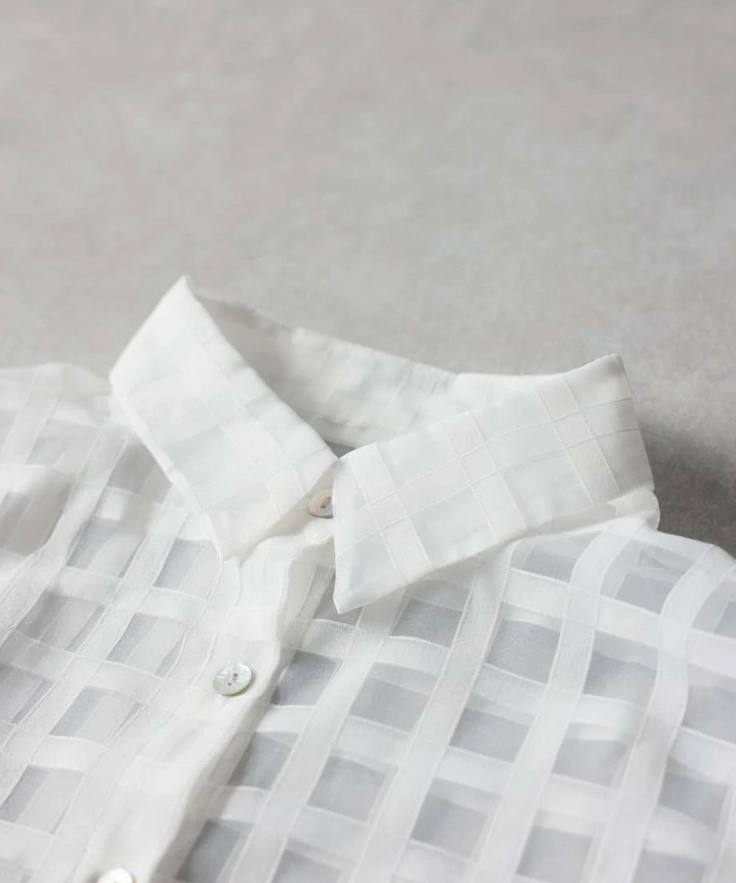 Checked Sheer Shirt Ladies