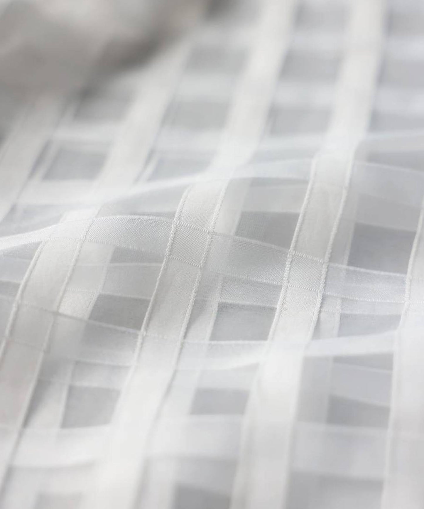 Checked Sheer Shirt Ladies