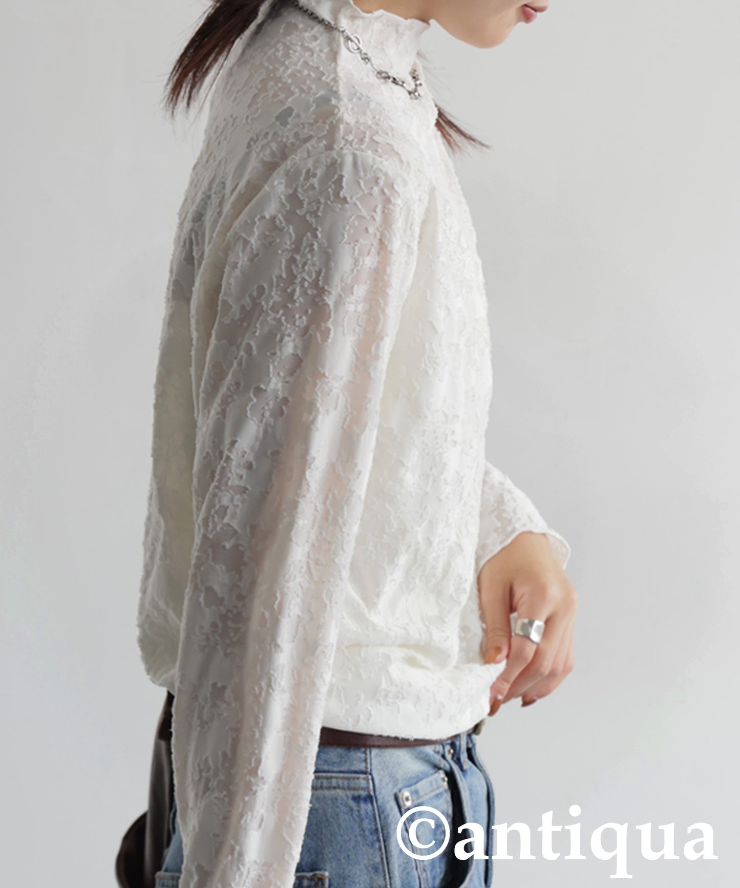 Lace-Like Sheer Top Ladies