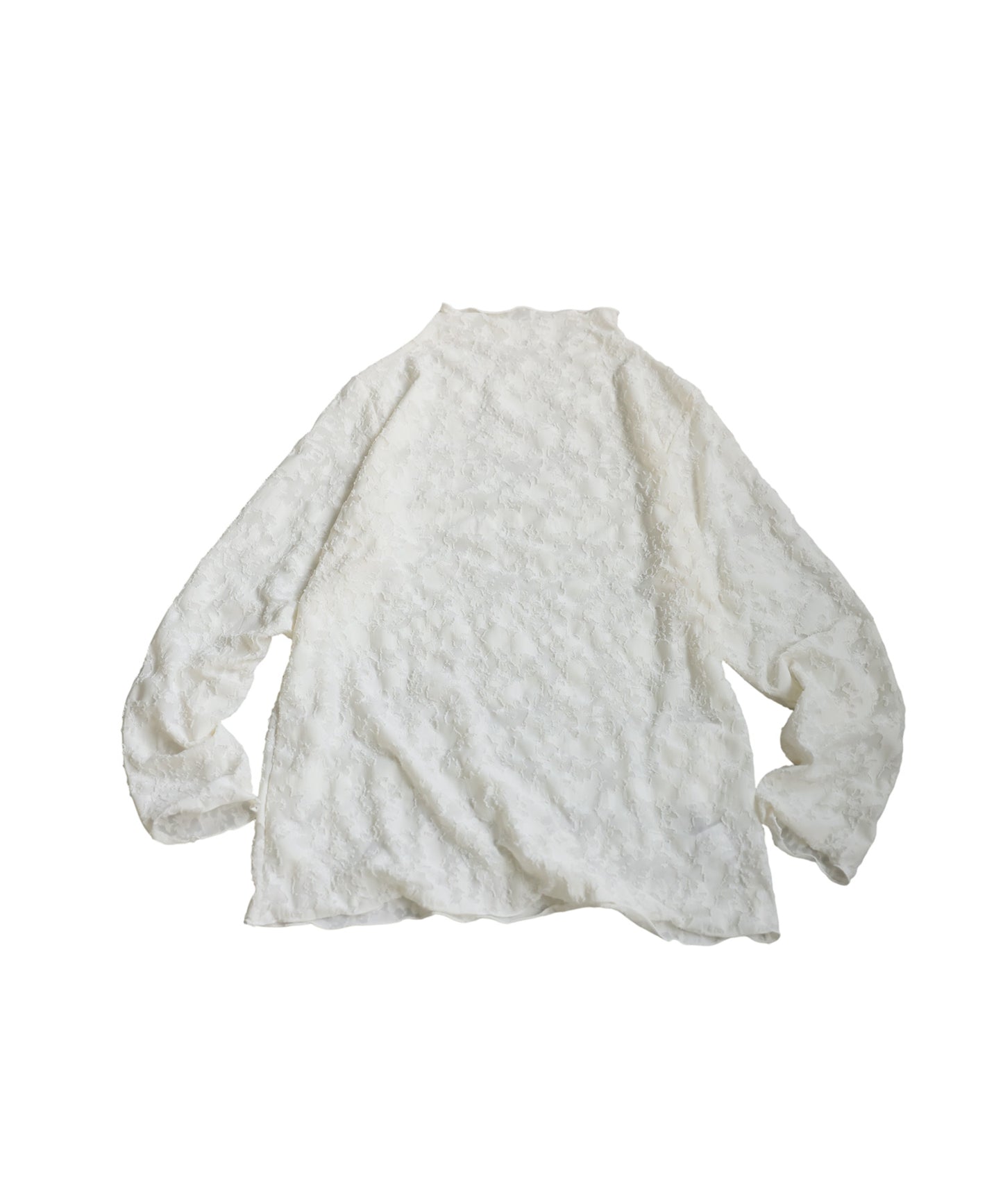 Lace-Like Sheer Top Ladies