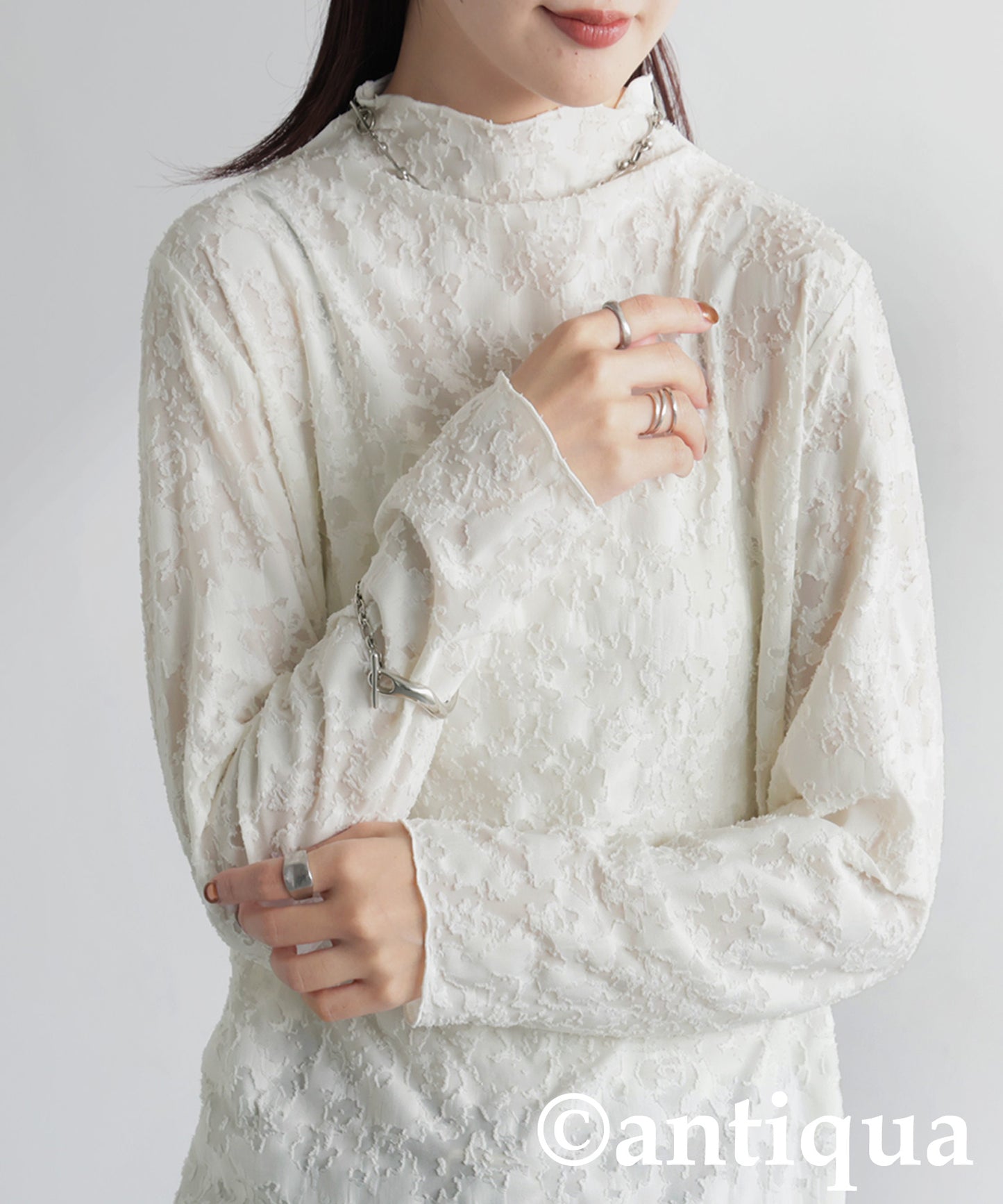 Lace-Like Sheer Top Ladies