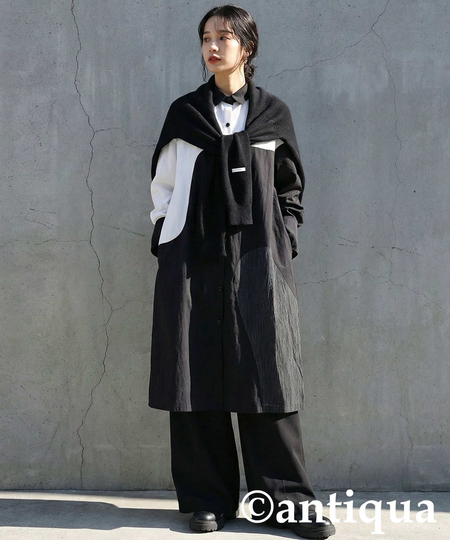 Switch Shirt Dress Ladies