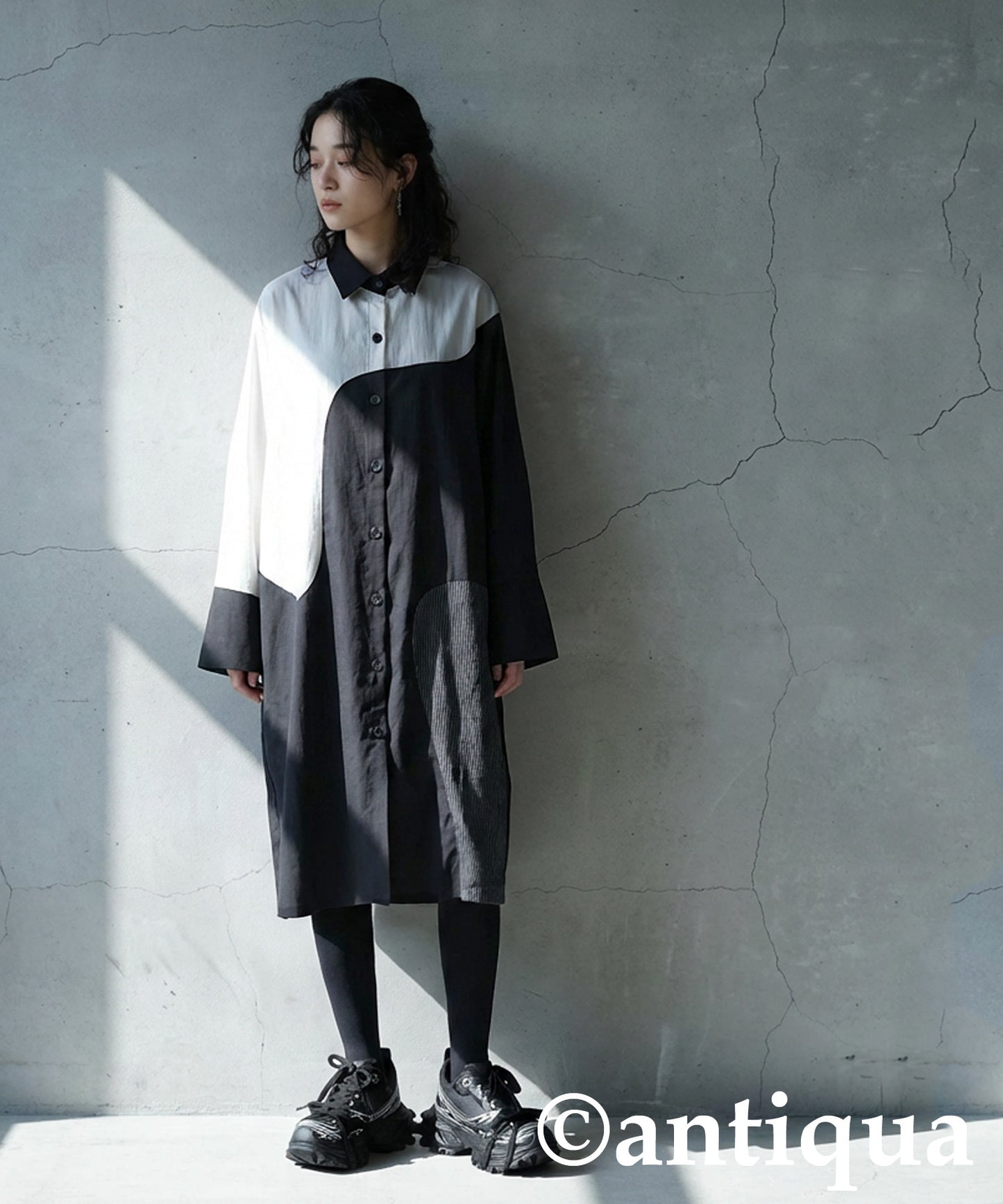 Switch Shirt Dress Ladies