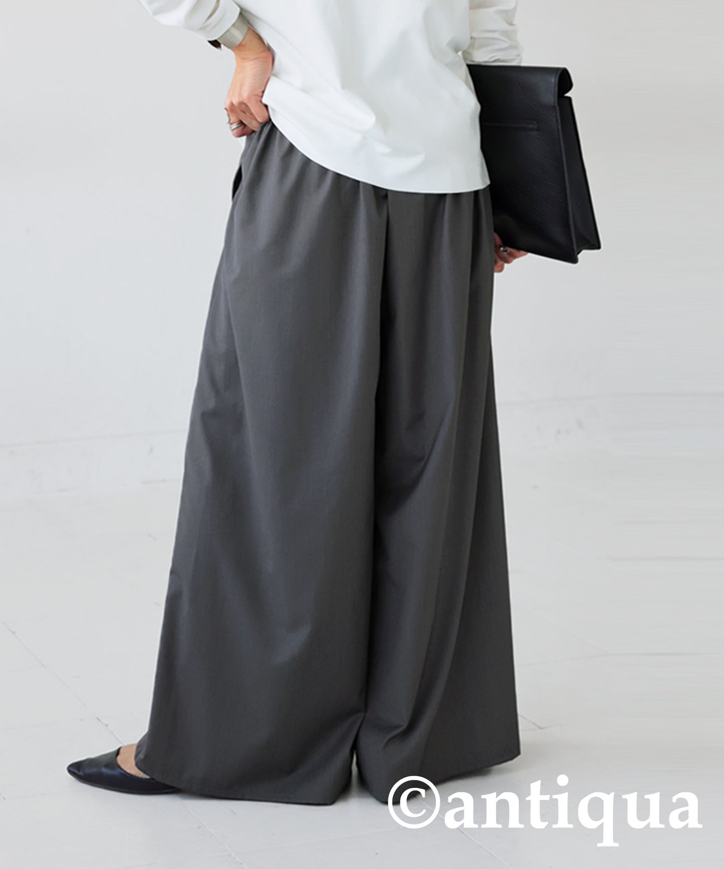 Tuck Wide Pants Ladies