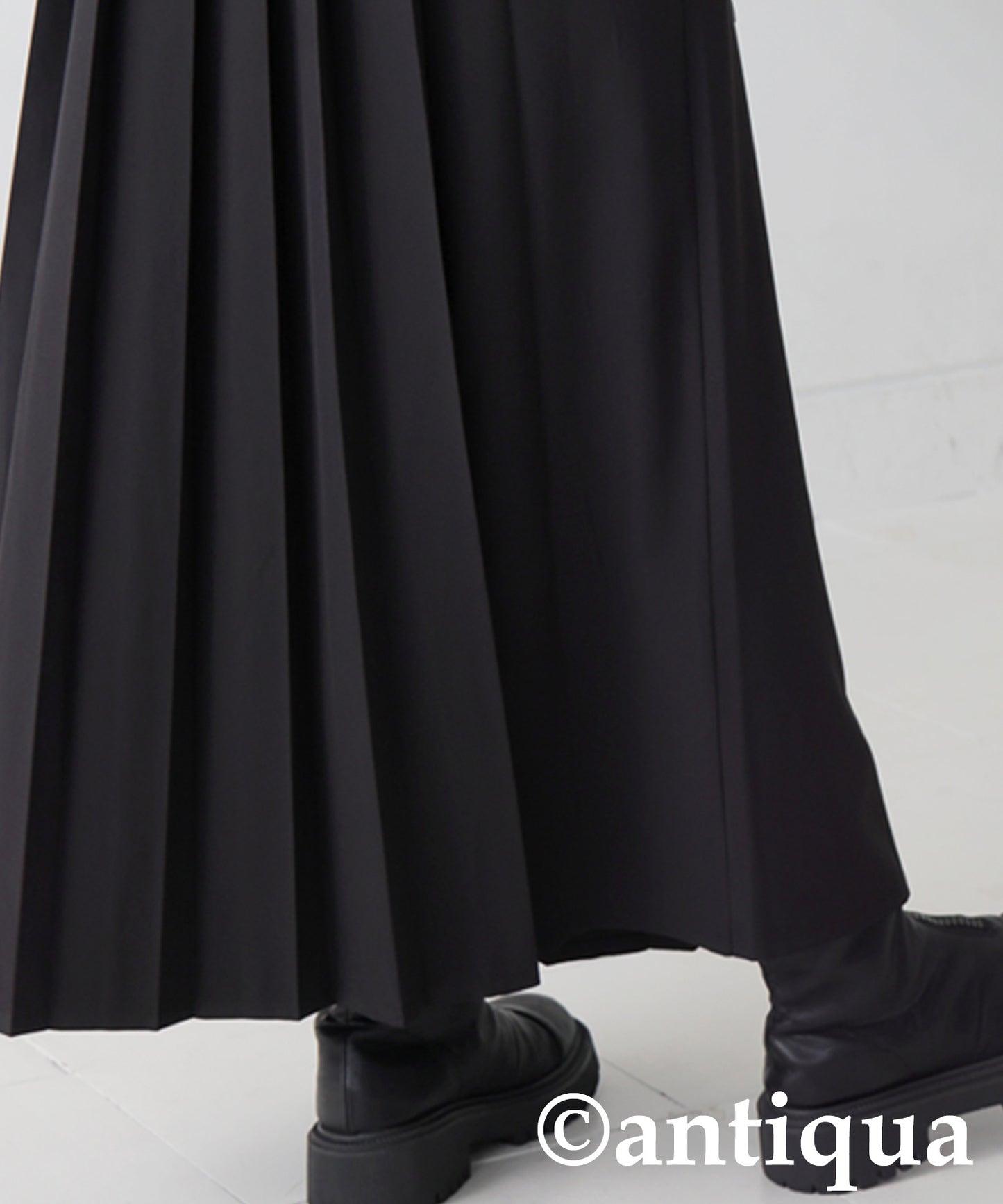 Pleated Dress Ladies