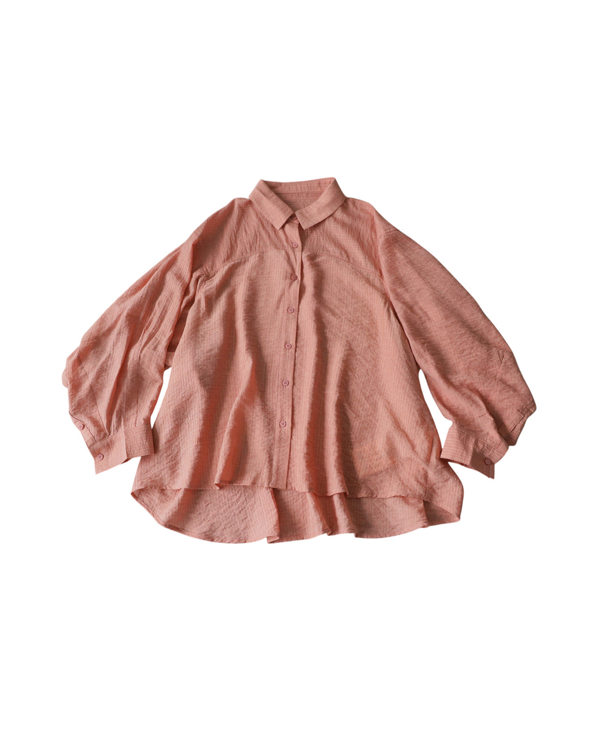 Sheer Shirt Ladies