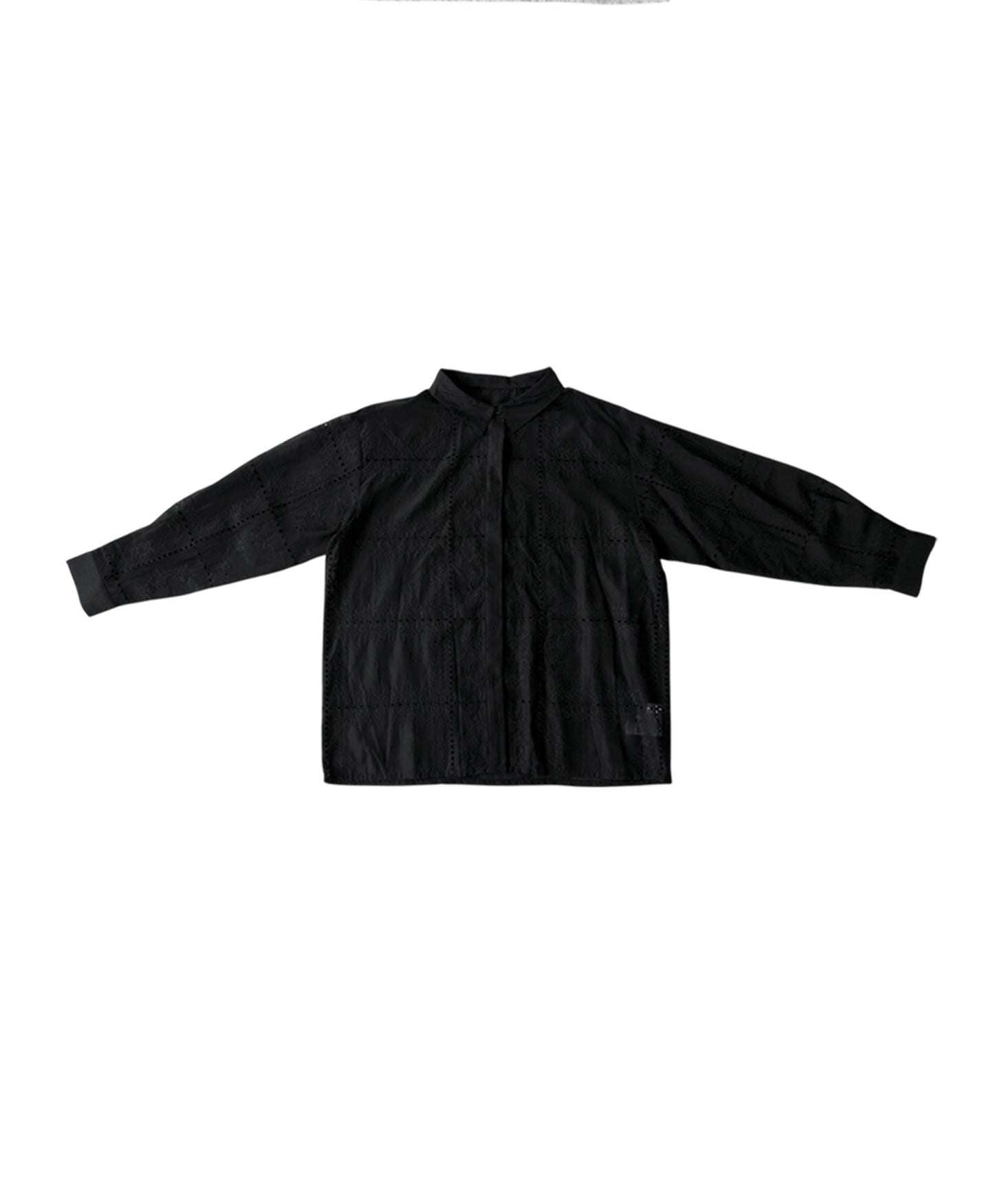 Embroidered Lace Sheer Shirt Ladies
