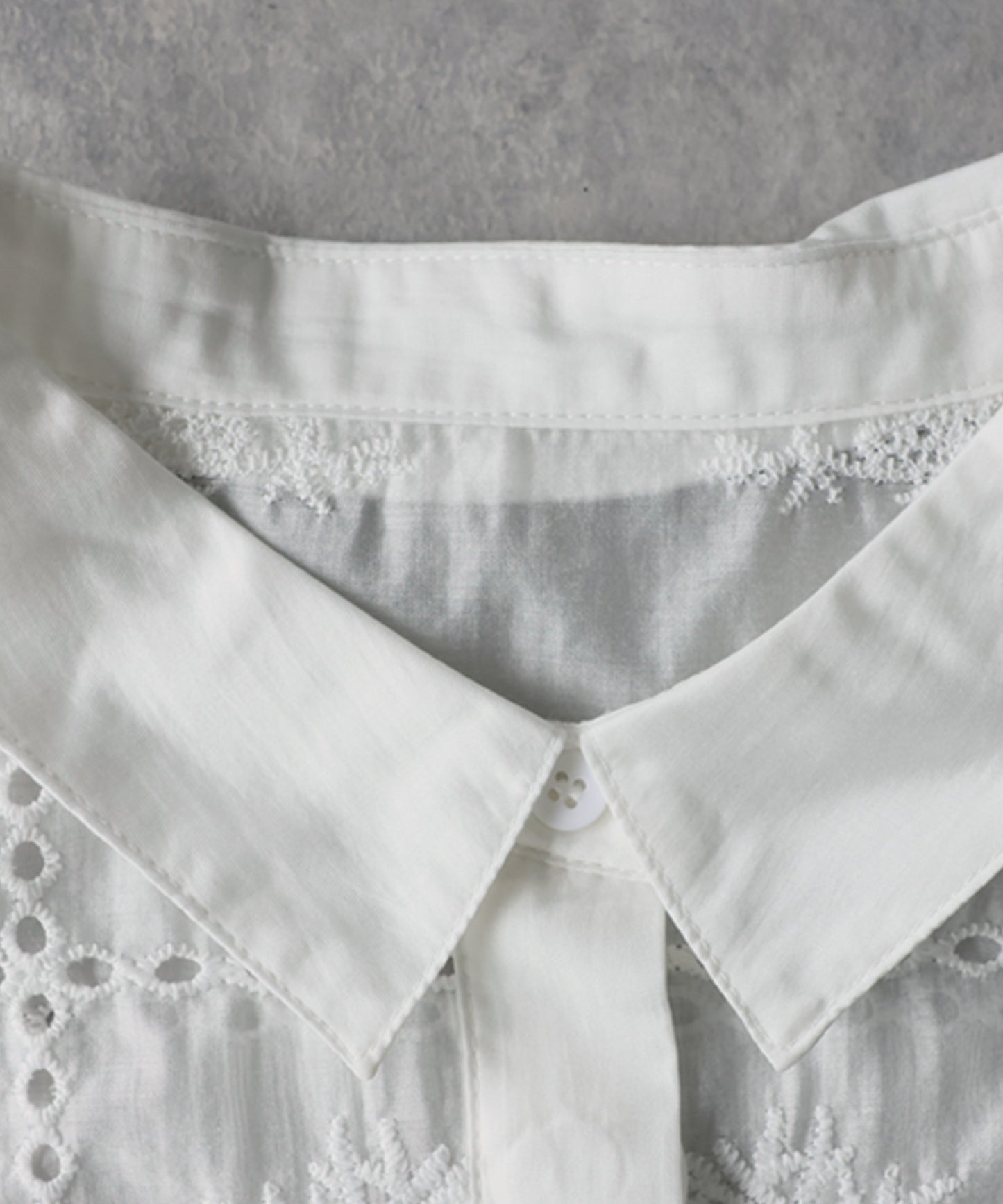 Embroidered Lace Sheer Shirt Ladies