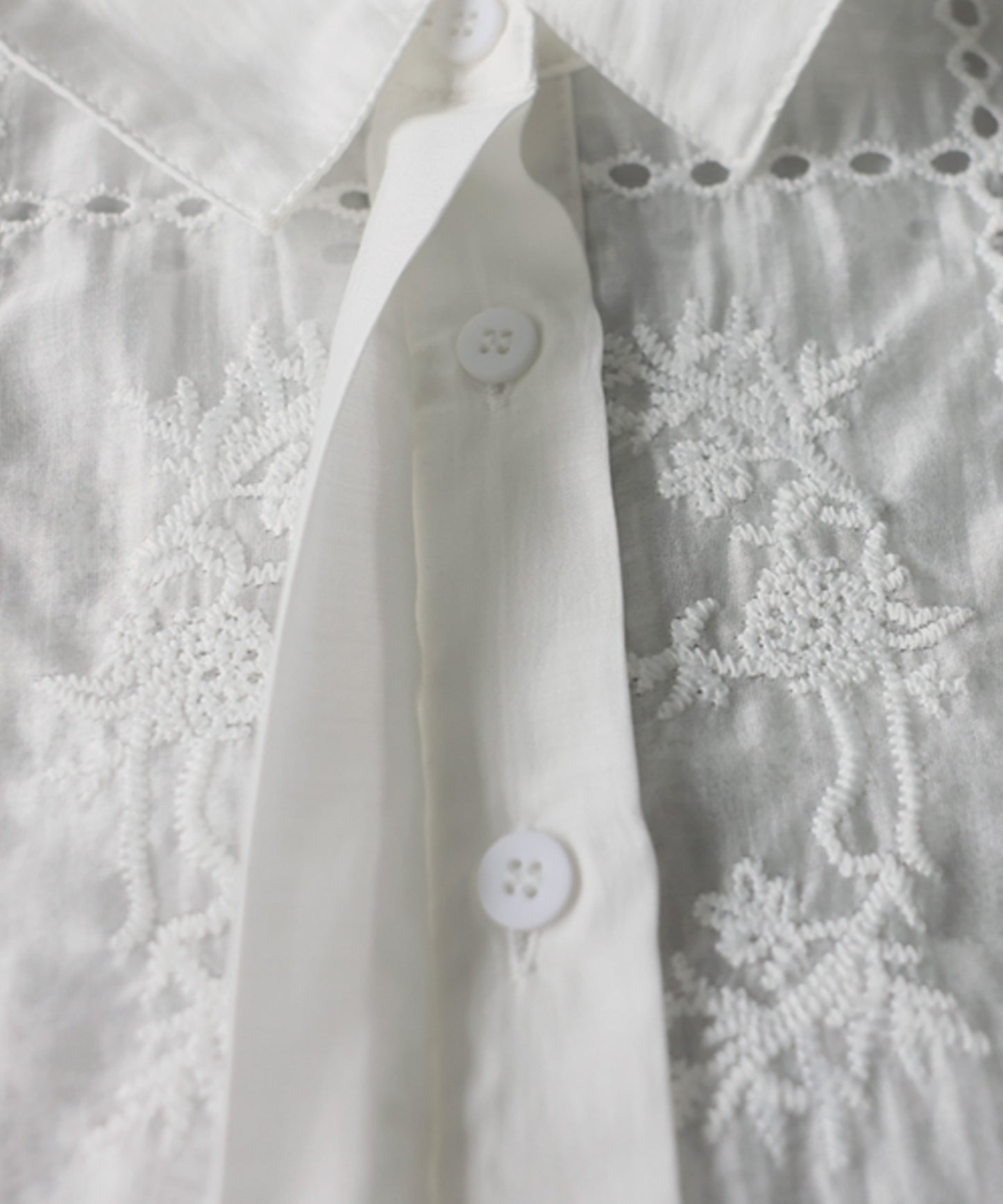 Embroidered Lace Sheer Shirt Ladies