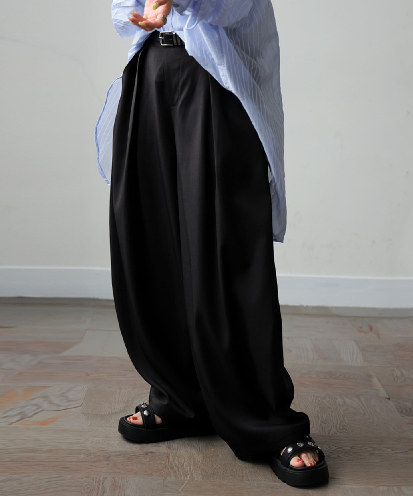 Balloon Tuck Wide Pants Ladies
