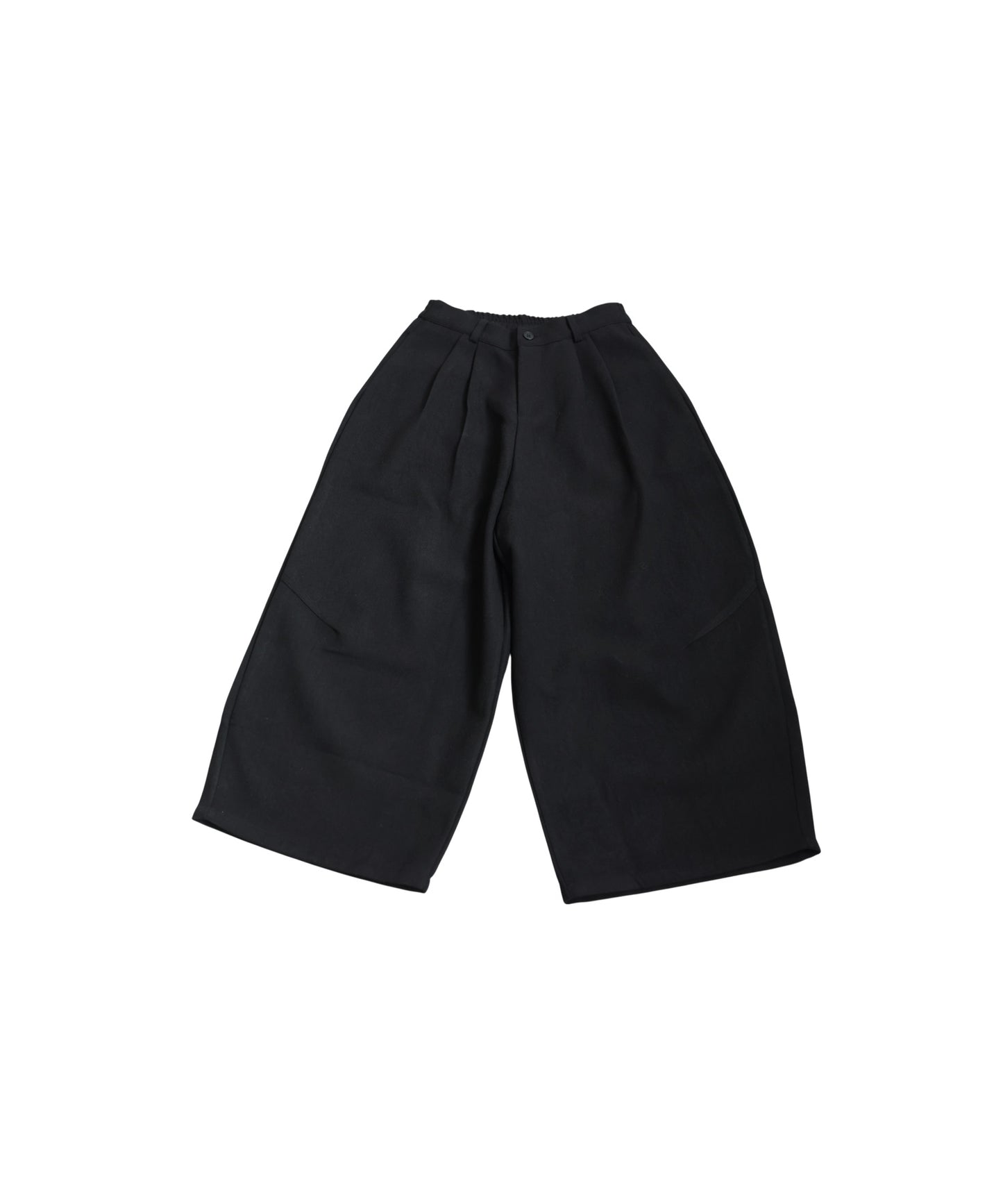 Tuck Wide Pants Ladies