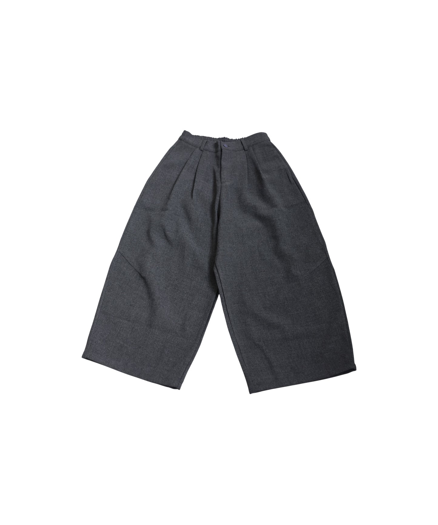 Tuck Wide Pants Ladies