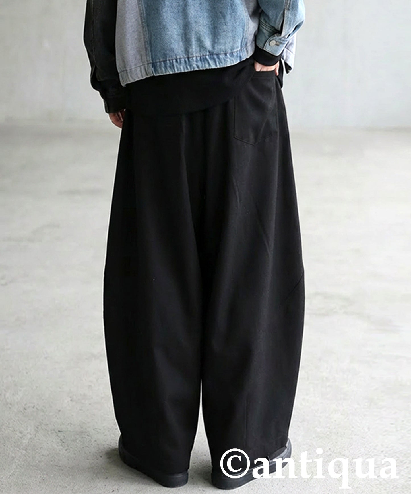 Tuck Wide Pants Ladies