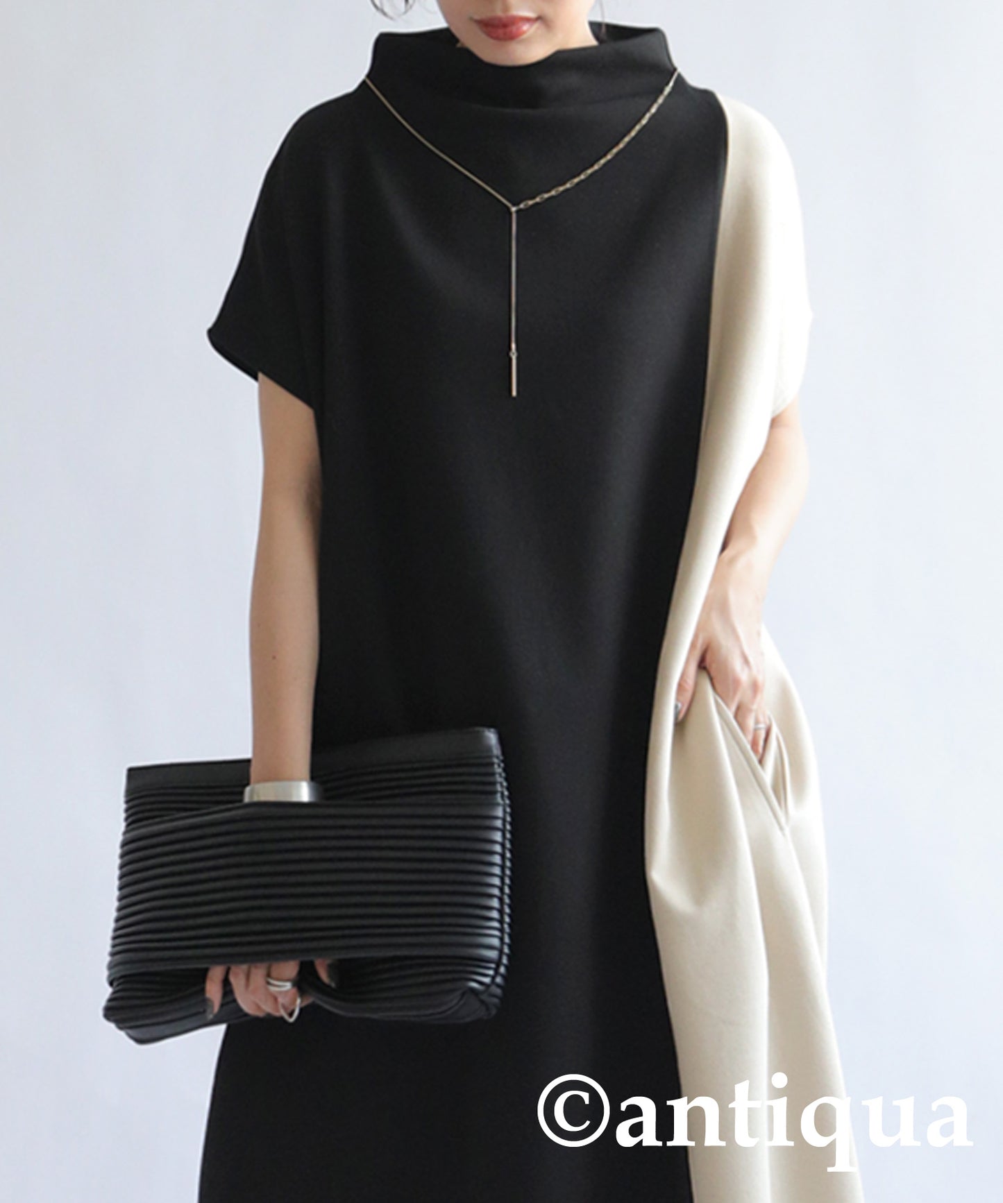 Turtle Neck Dress Ladies