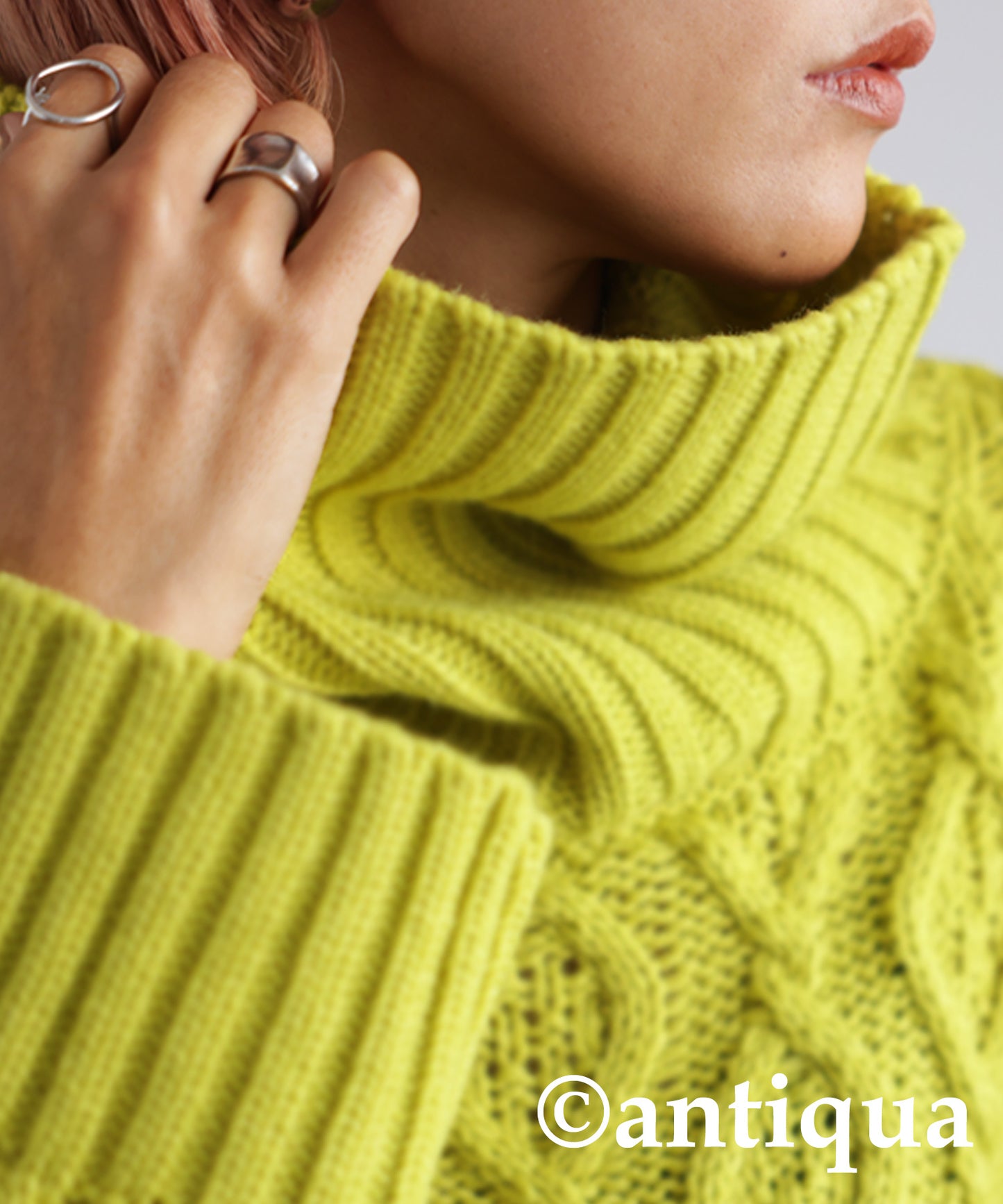 Cable TurtleNeck Knit Ladies