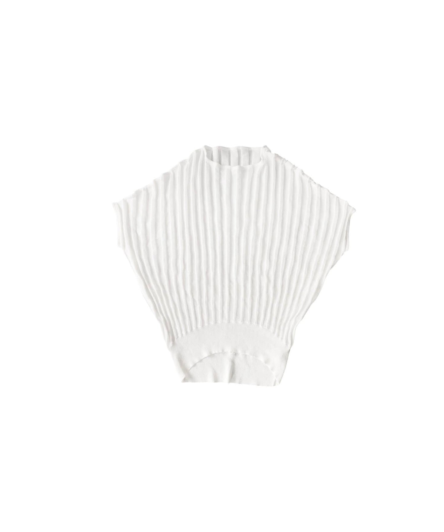 Striped Sheer Dolman Knit Ladies