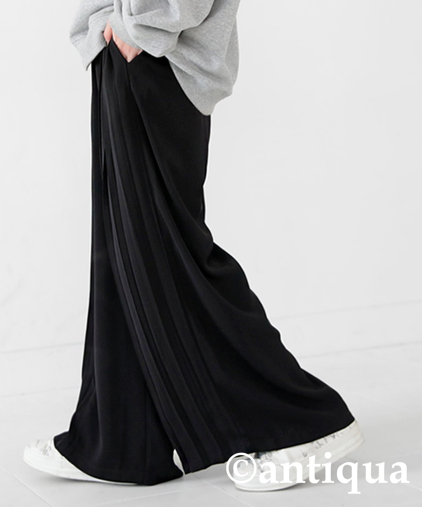 Pleated Wide Pants Ladies