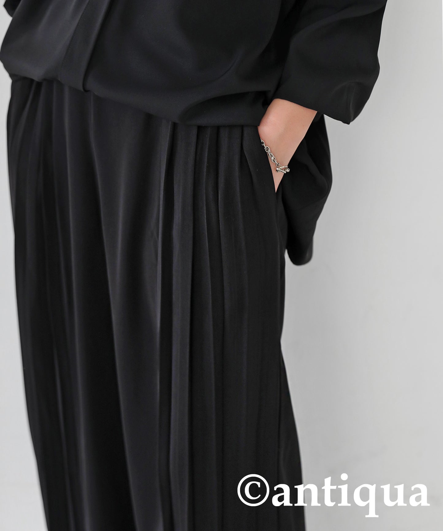 Pleated Wide Pants Ladies