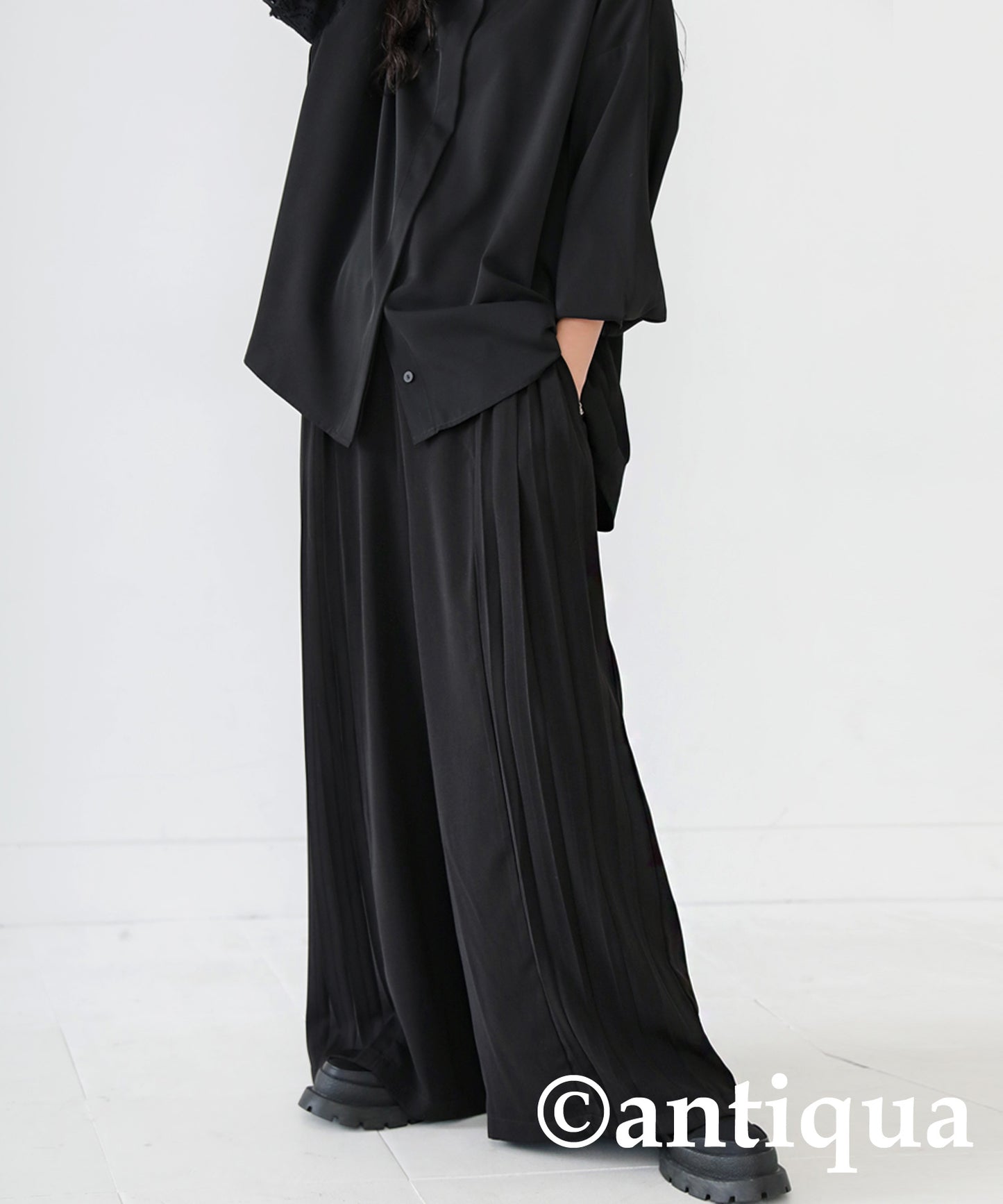 Pleated Wide Pants Ladies