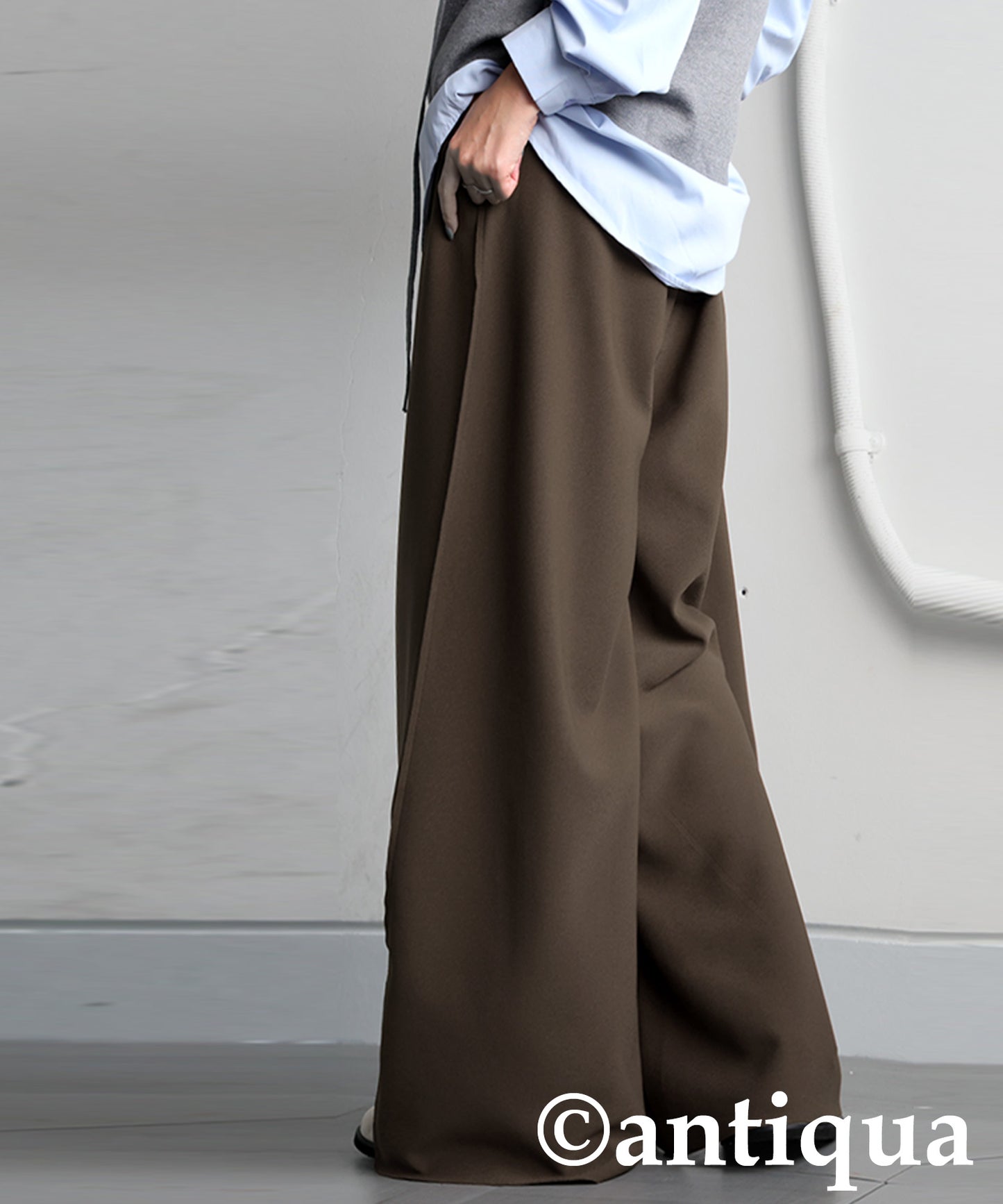 Fleece-Lined Georgette Wide-Leg Pants Ladies