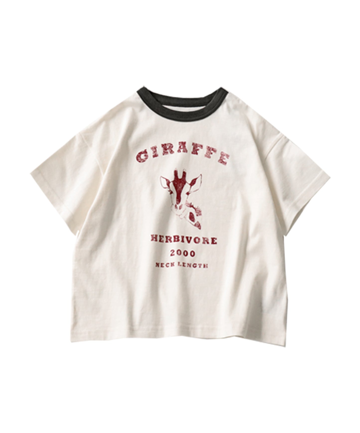 Animal Illustration T-shirt Kids