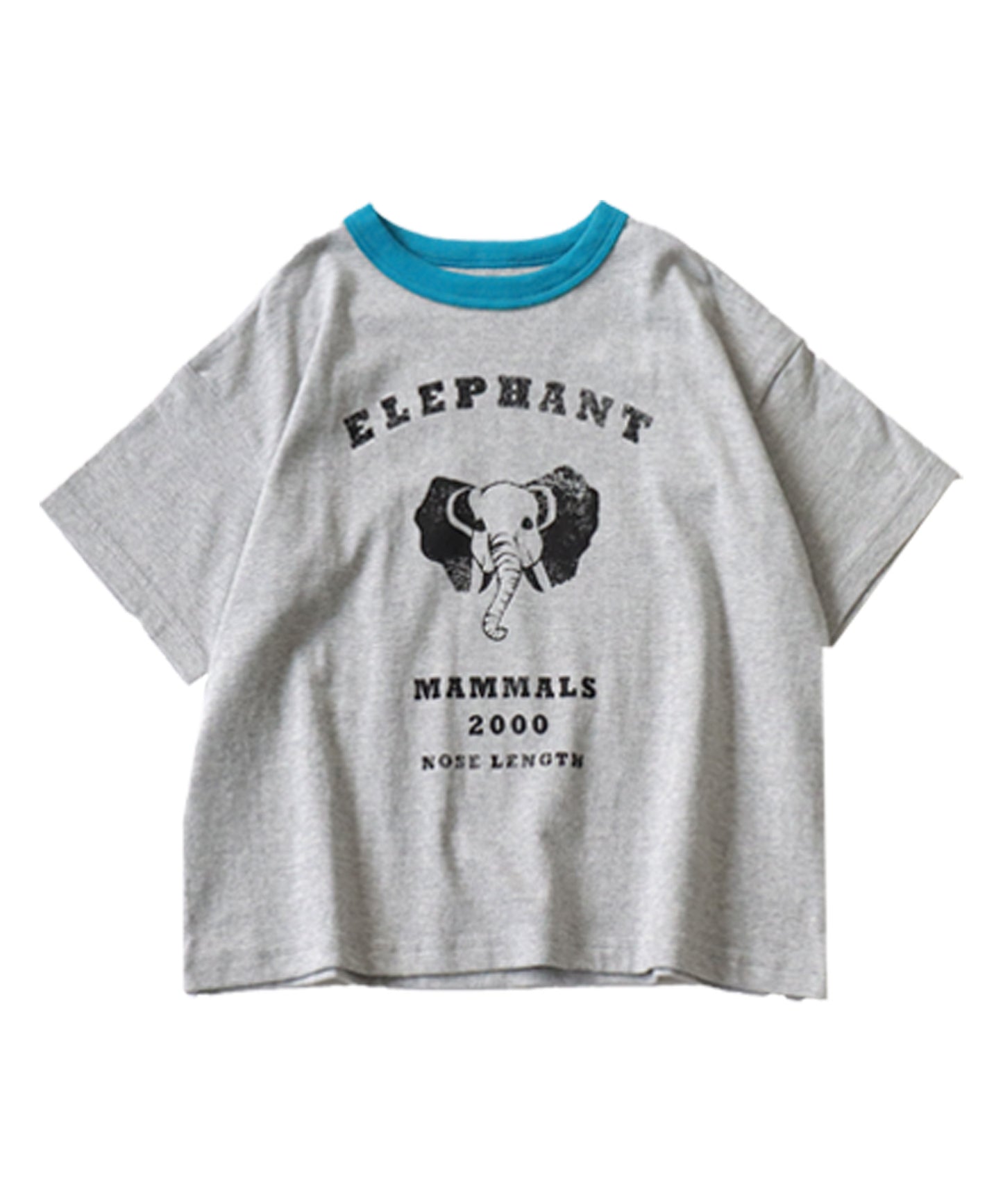 Animal Illustration T-shirt Kids