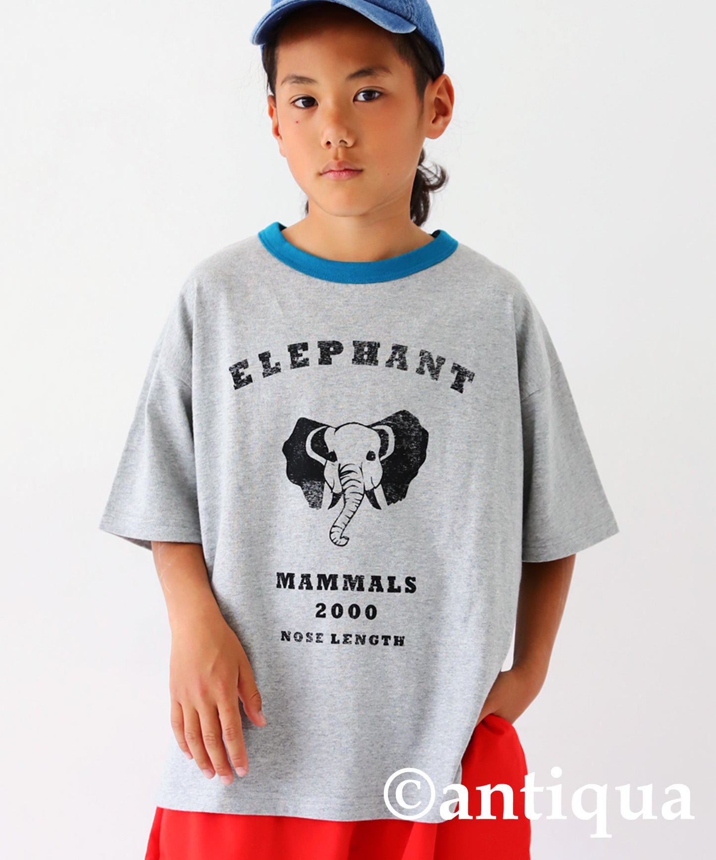 Animal Illustration T-Shirt Junior