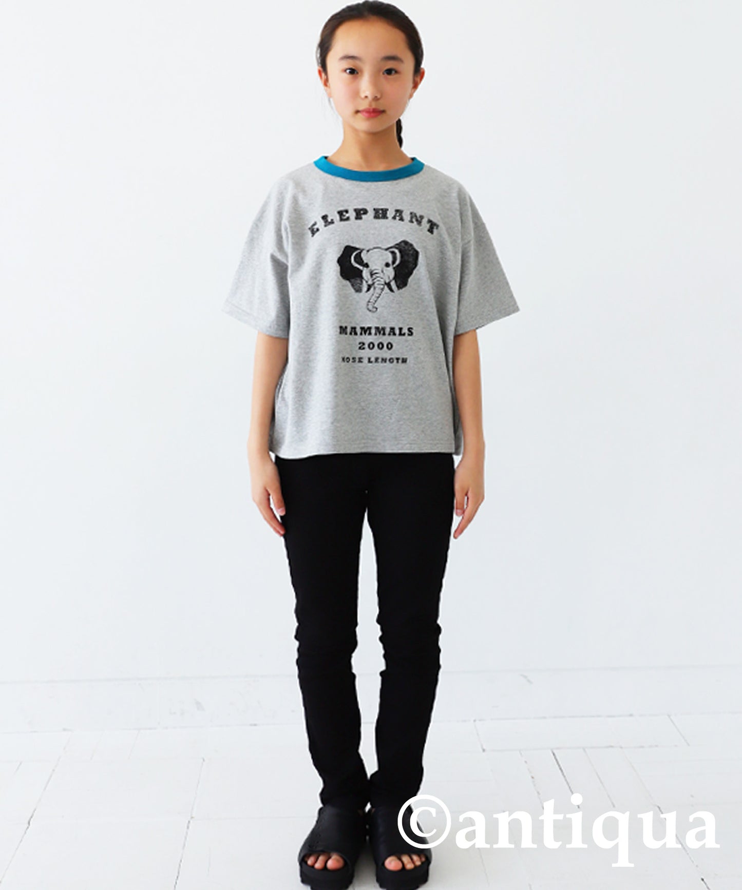 Animal Illustration T-Shirt Junior