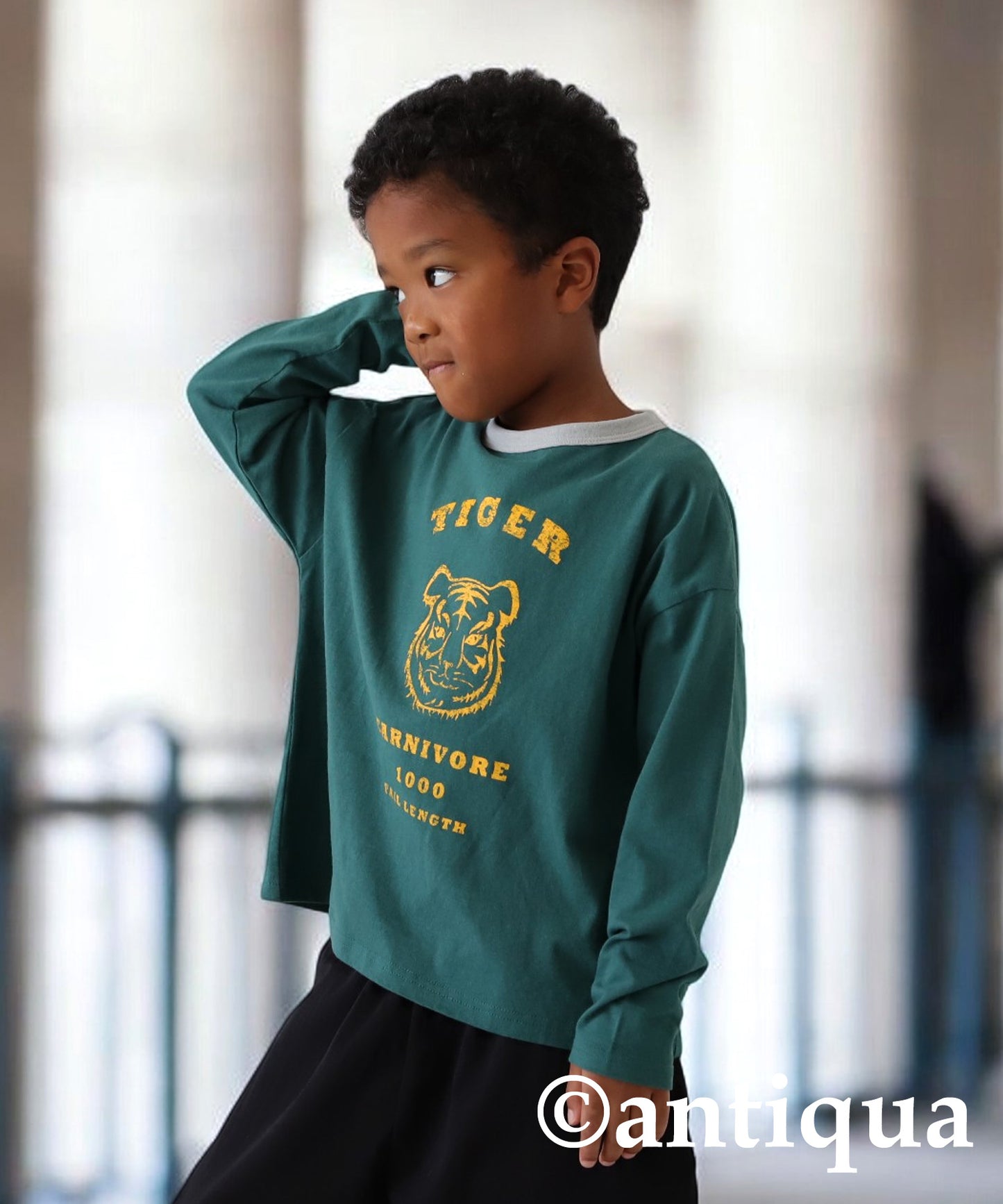 Animal Long sleeve T-shirt Kids