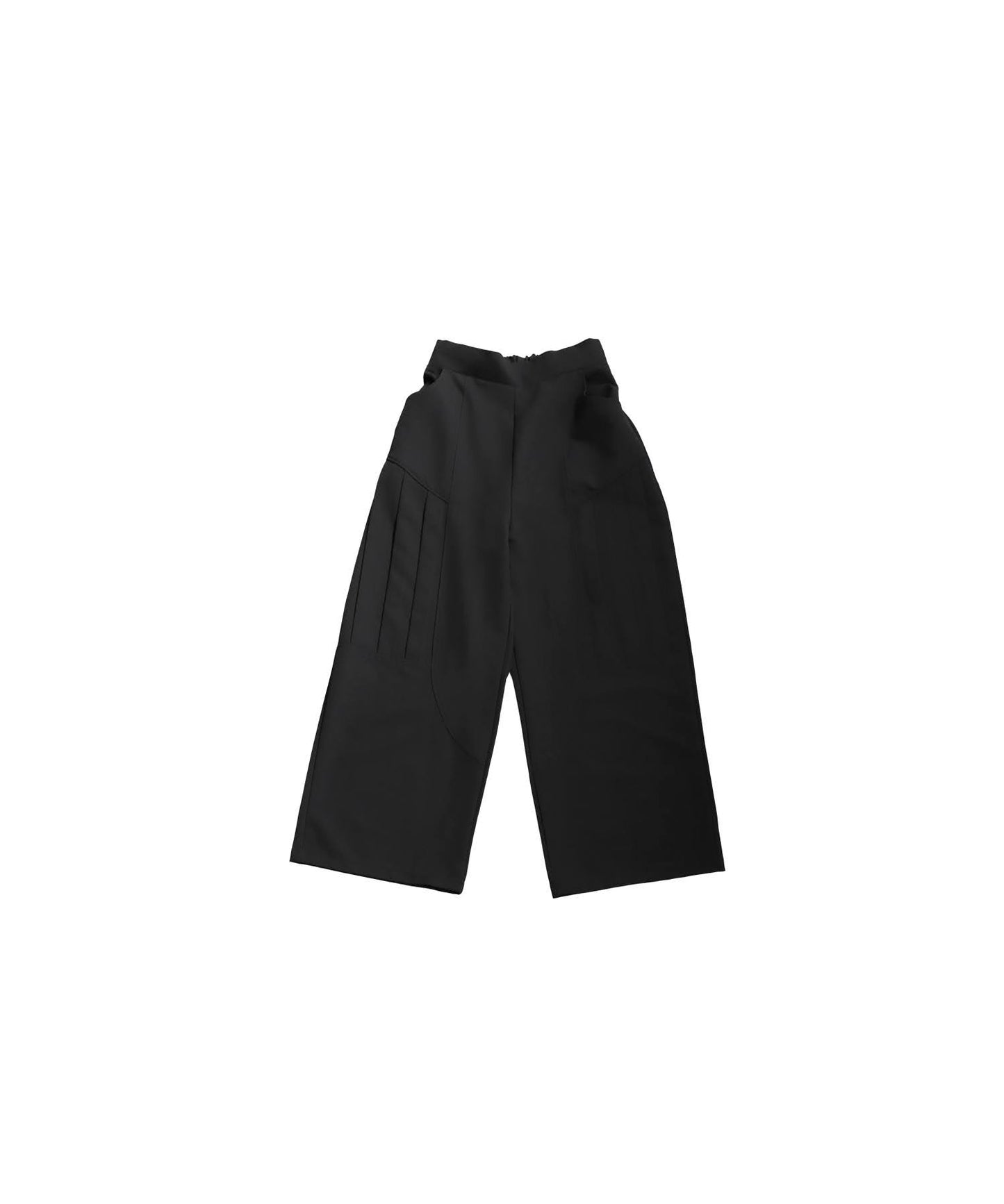 Men's Side Pleated Pants