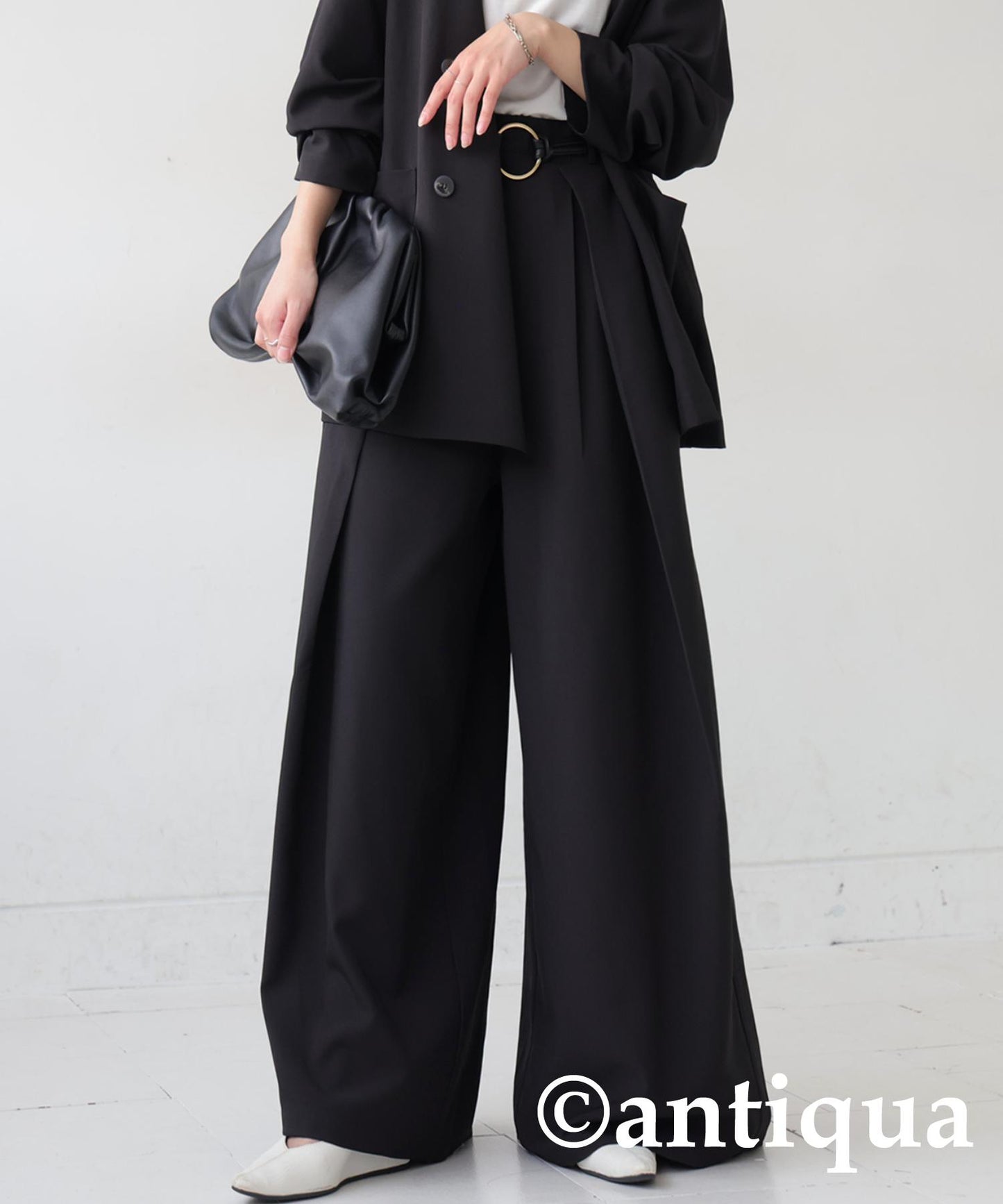 Tuck Wide Pants Ladies