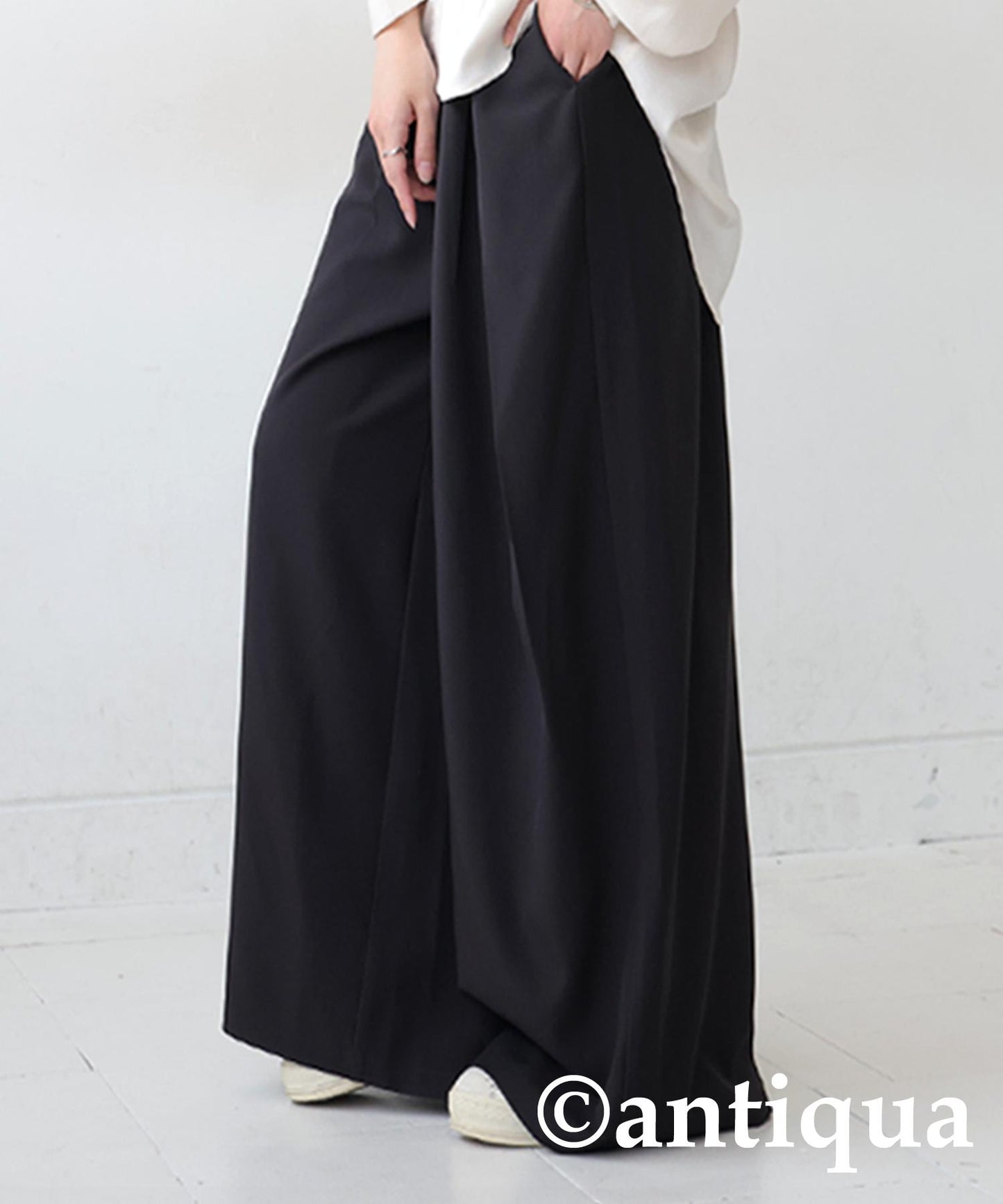 Tuck Wide Pants Ladies