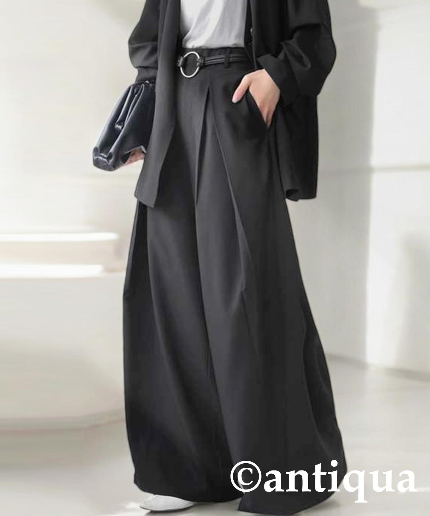 Tuck Wide Pants Ladies