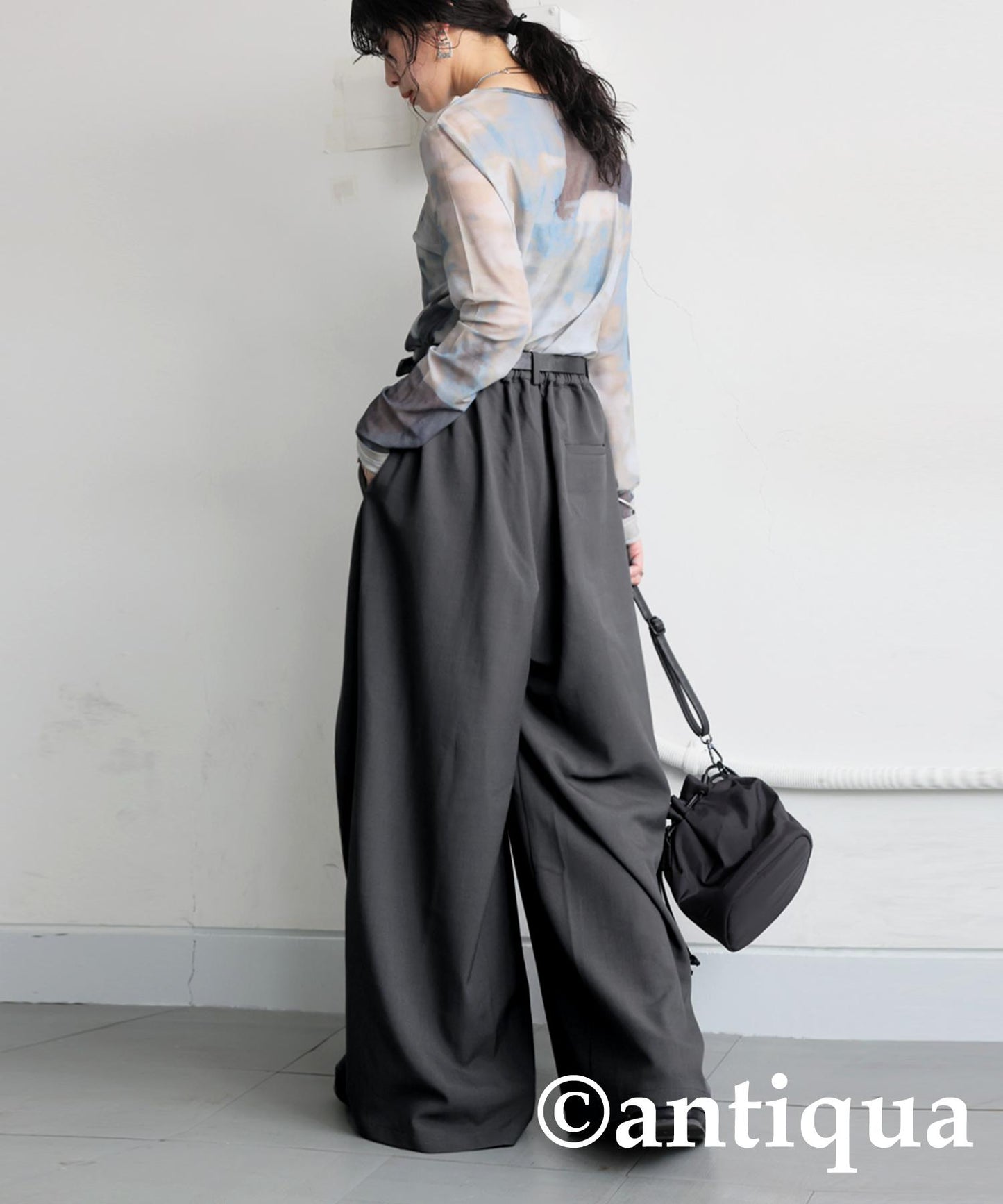 Tuck Wide Pants Ladies