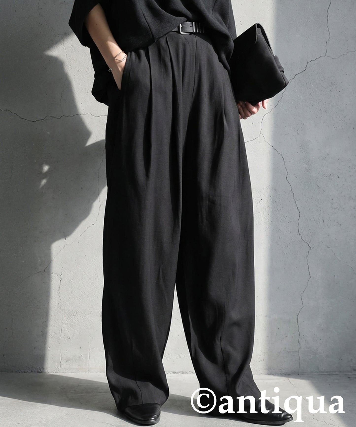 Wide-Pleated Pants Ladies