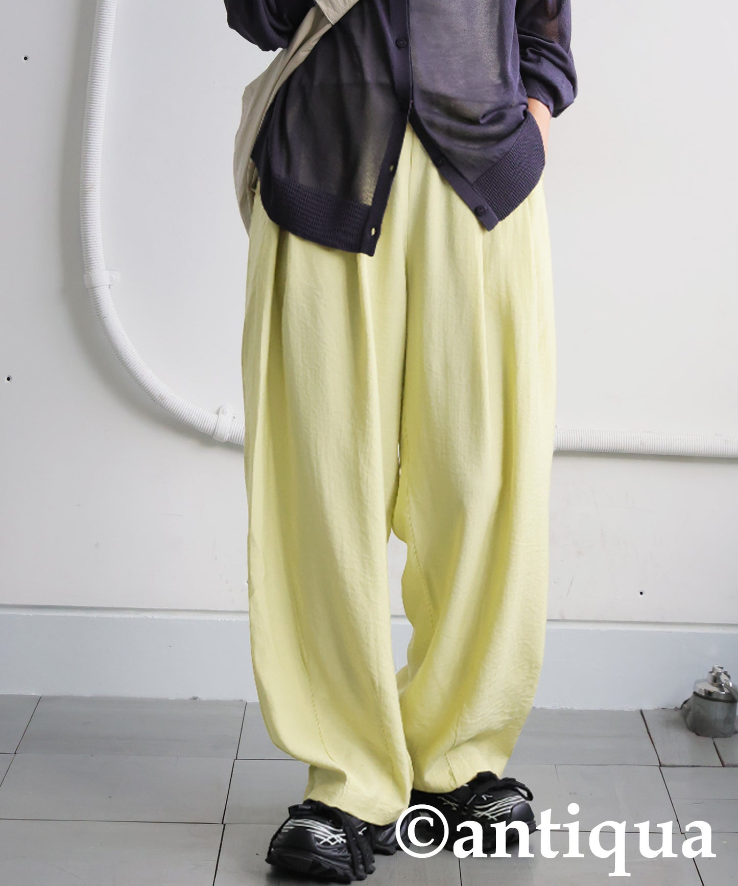 Wide-Pleated Pants Ladies