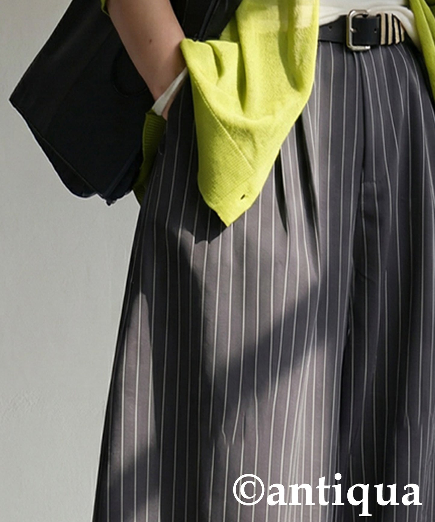 Striped Wide Pants Ladies