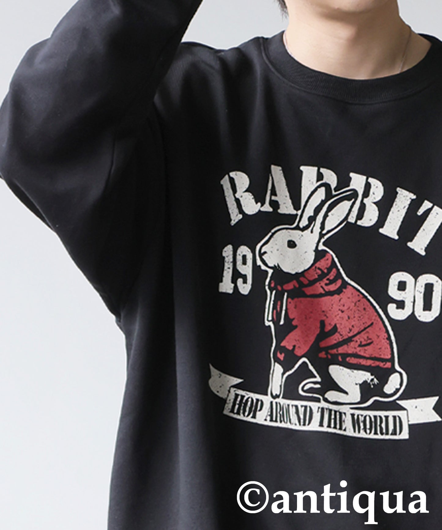 Animal College Logo Fleece Sweatshirt Men's